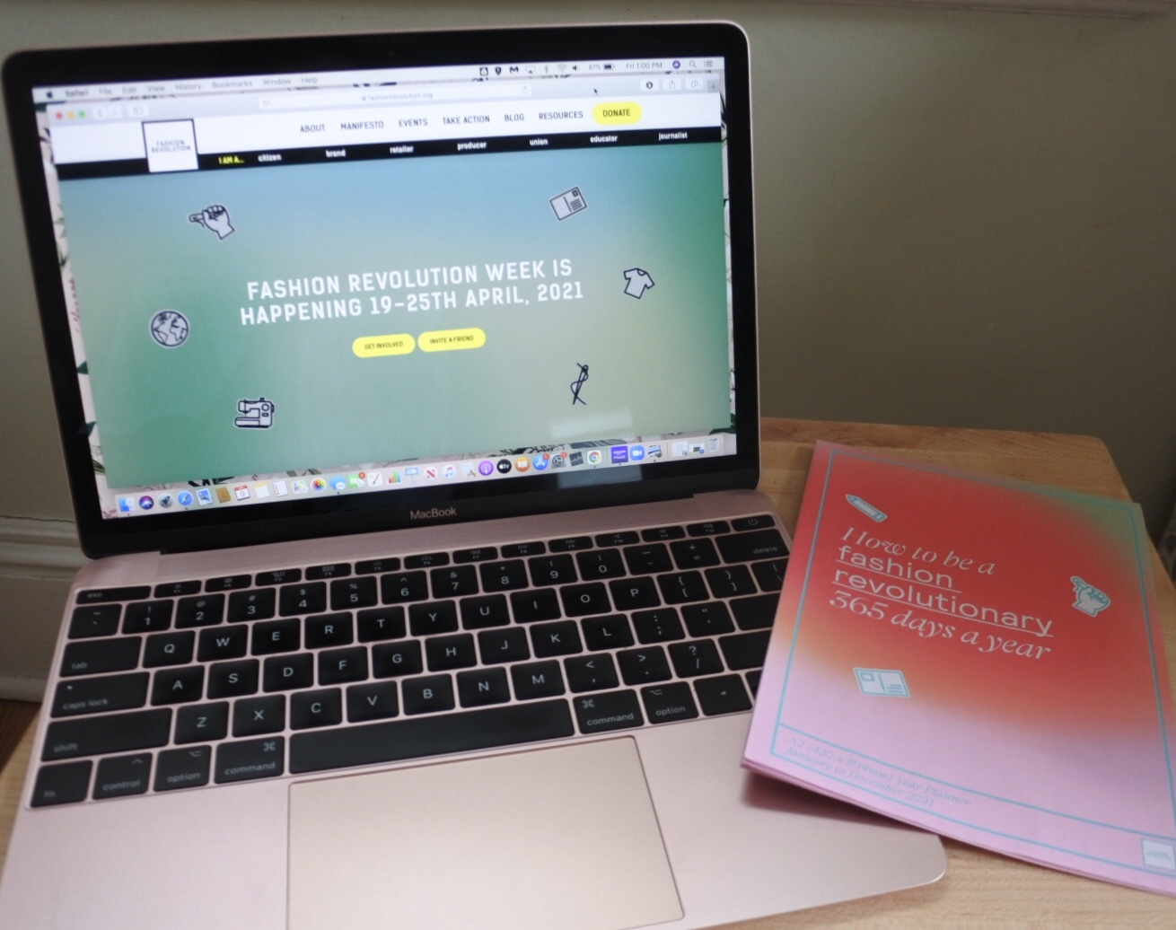 img 2709jpg by Hannah Griffee