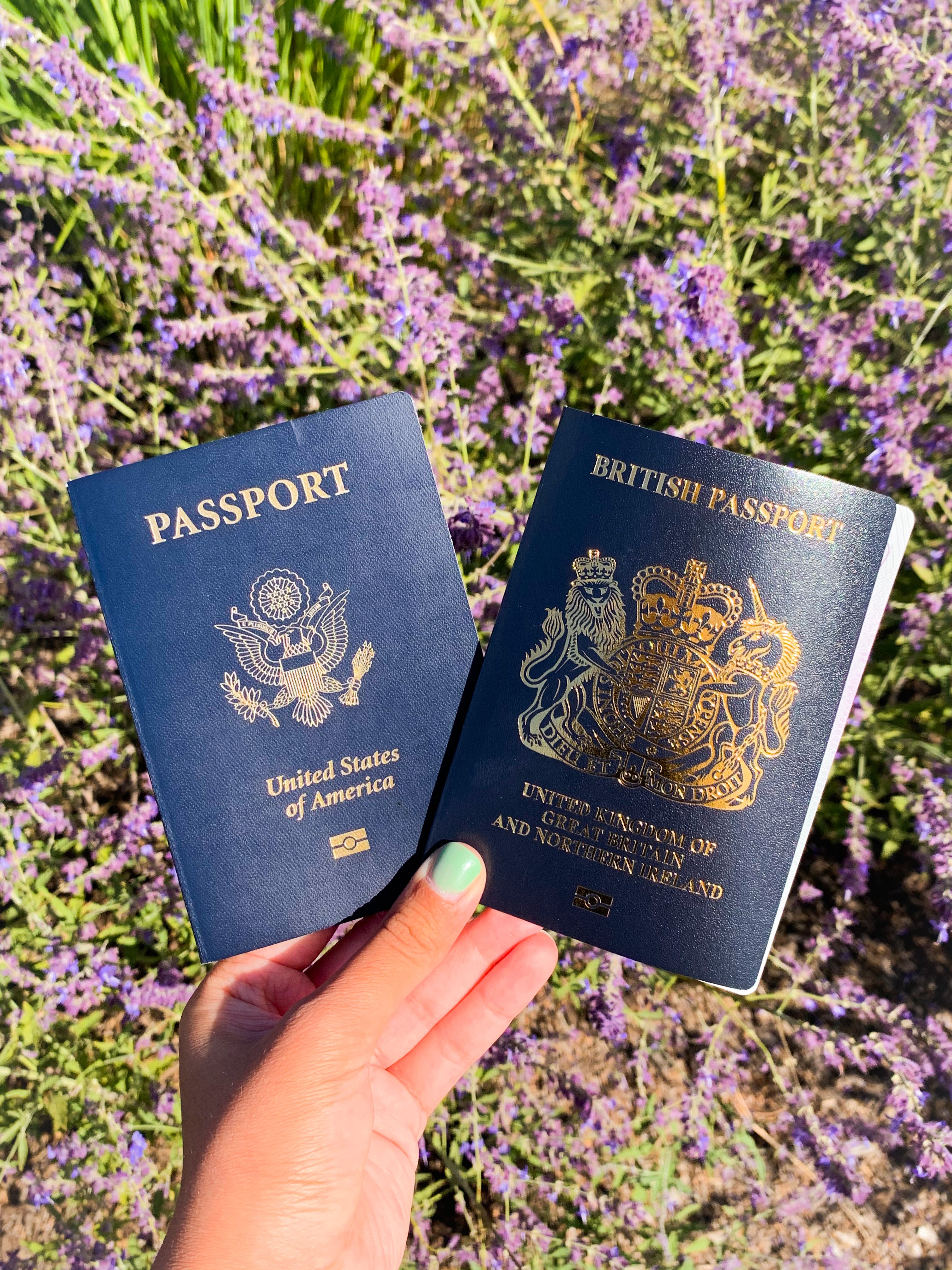 img 1803jpg by Sonia Anand?width=698&height=466&fit=crop&auto=webp&dpr=4