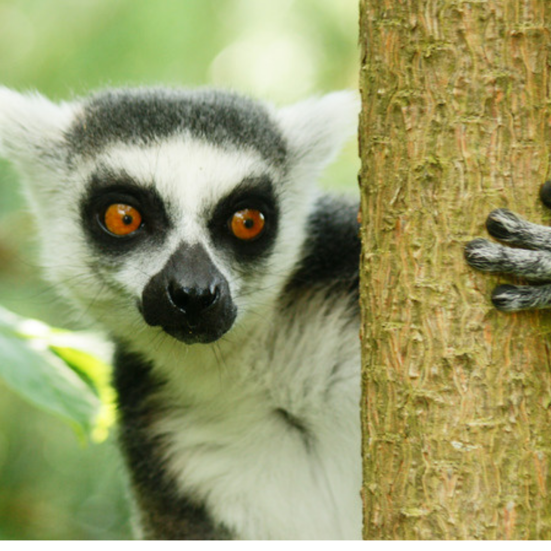 untitled designpng by Canva?width=698&height=466&fit=crop&auto=webp&dpr=4