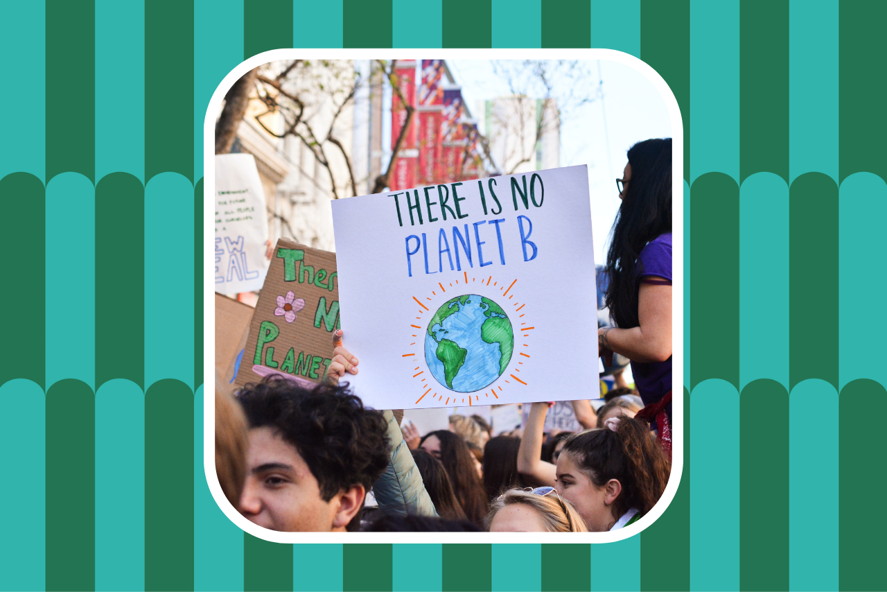 Scallop Standard Hero Template 10?width=698&height=466&fit=crop&auto=webp&dpr=4