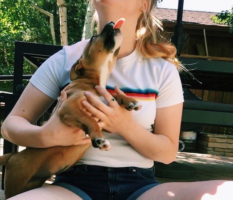 puppy happy fun girl