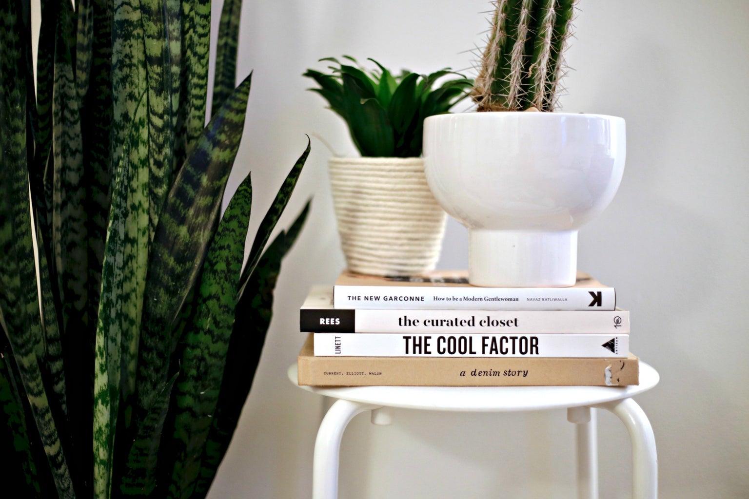 book fashion plants minimal cactus cacti cool style