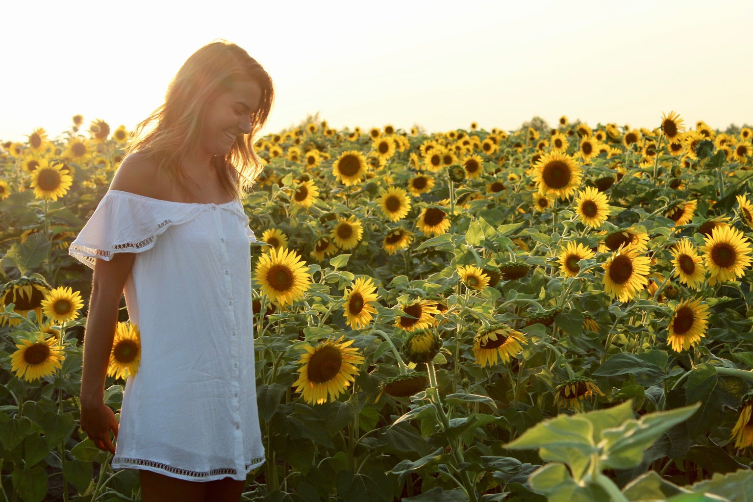 girl sunflower field happy white dress summer