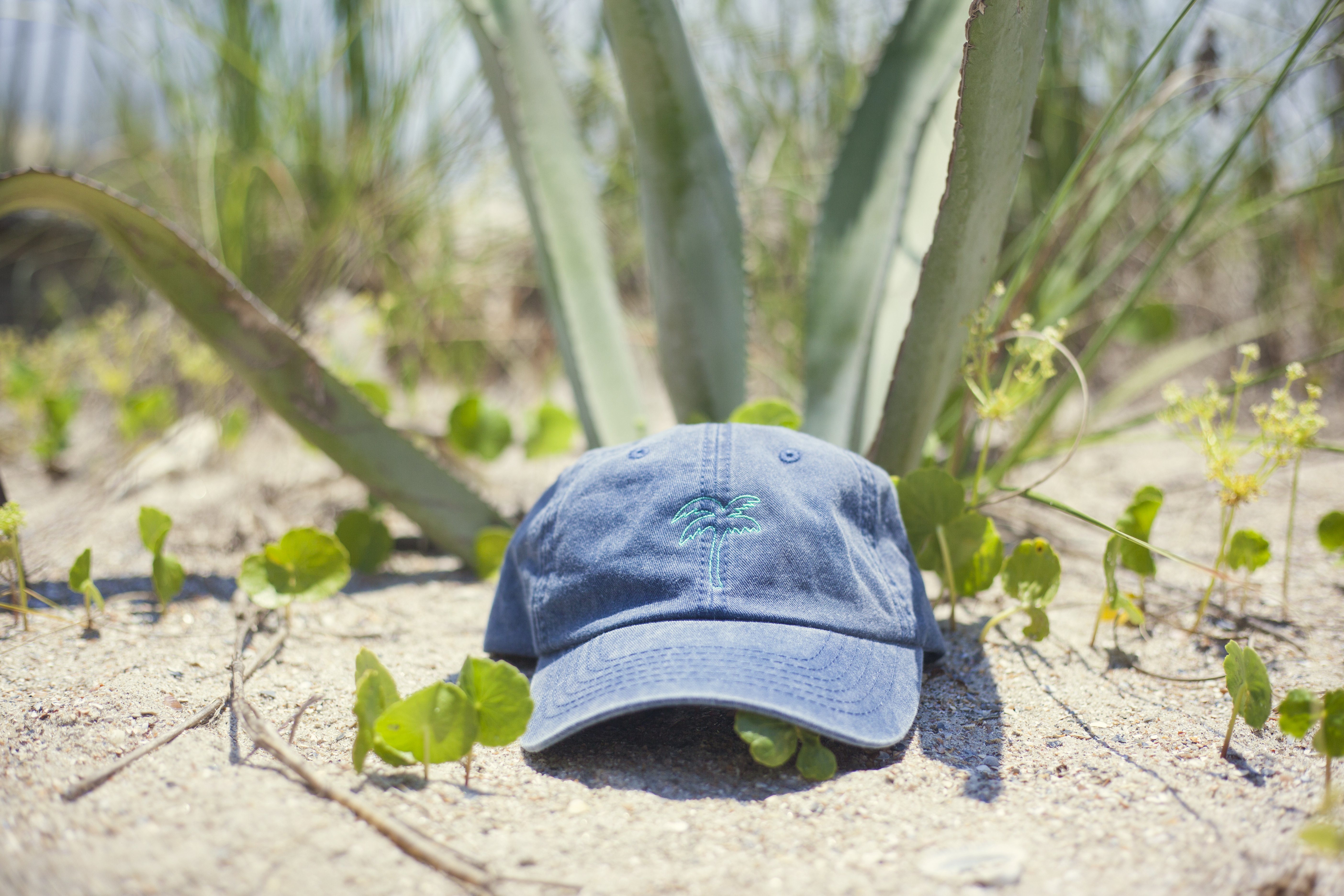 kristen bryant palm tree dad cap?width=698&height=466&fit=crop&auto=webp&dpr=4