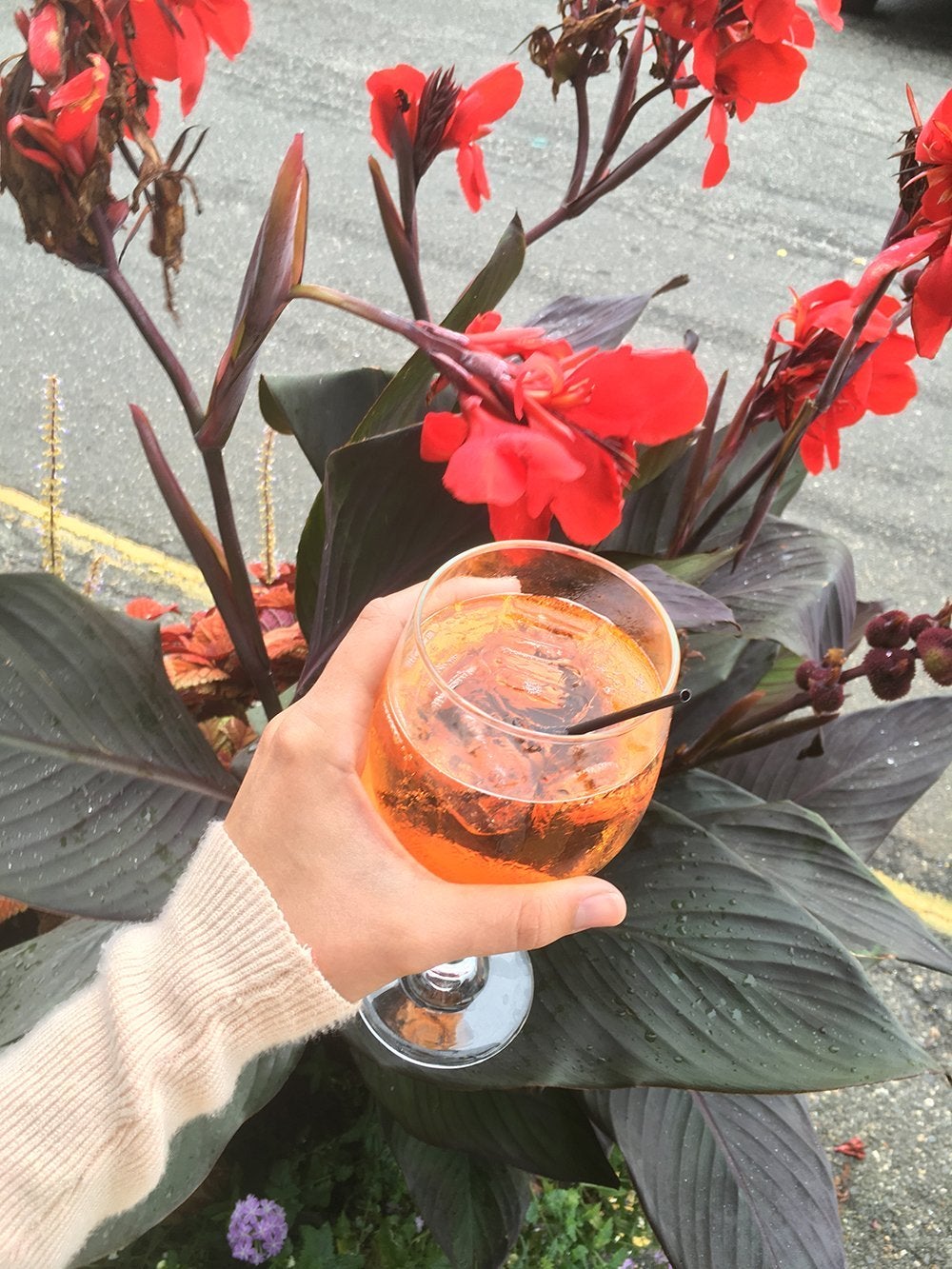 spritz flowers cocktail