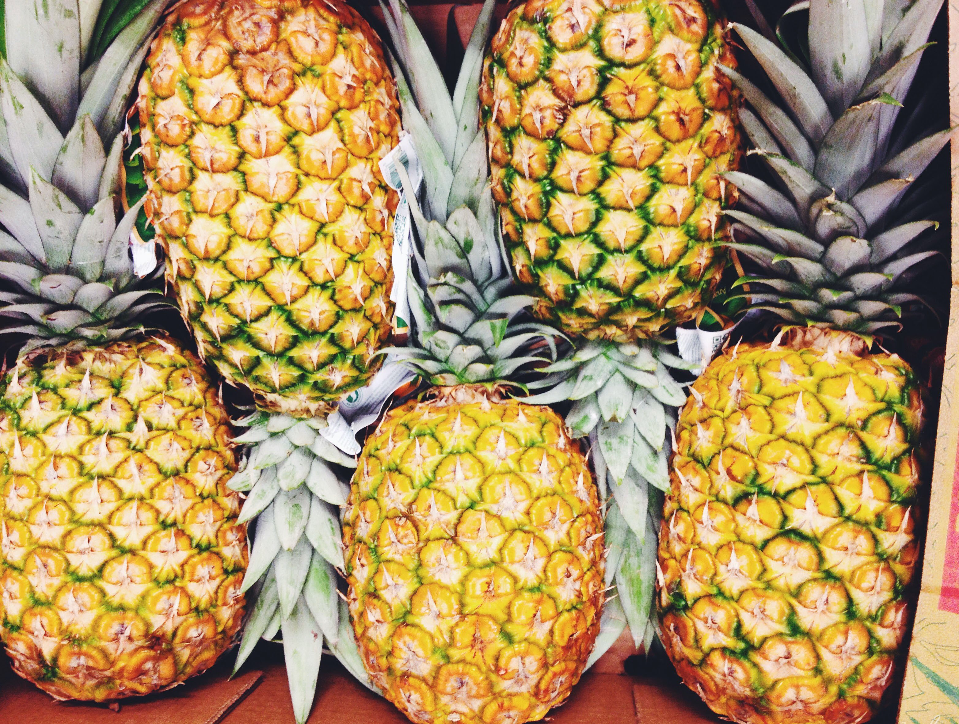 Meredith Kress Pineapple?width=698&height=466&fit=crop&auto=webp&dpr=4