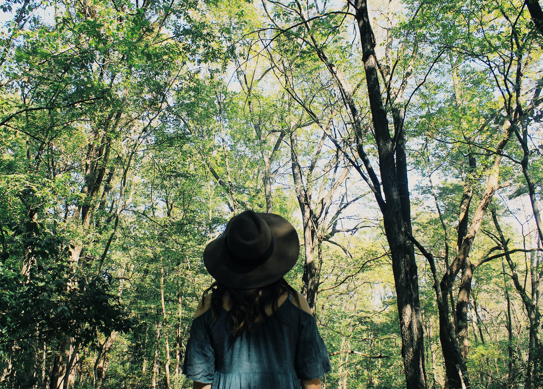 Anna Schultz-Girl Looking Up In Forest