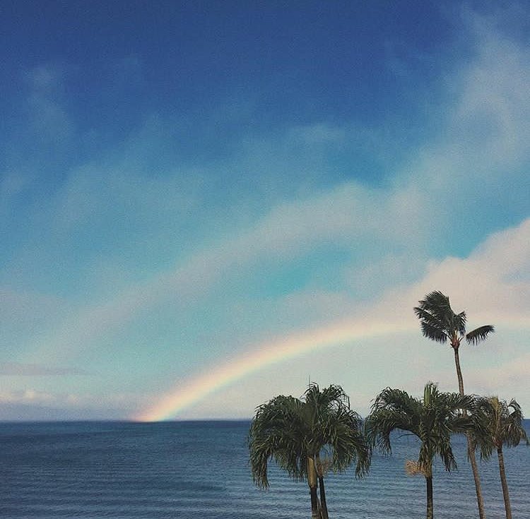 Sky Ocean Palm Trees Rainbow Nature Vacation