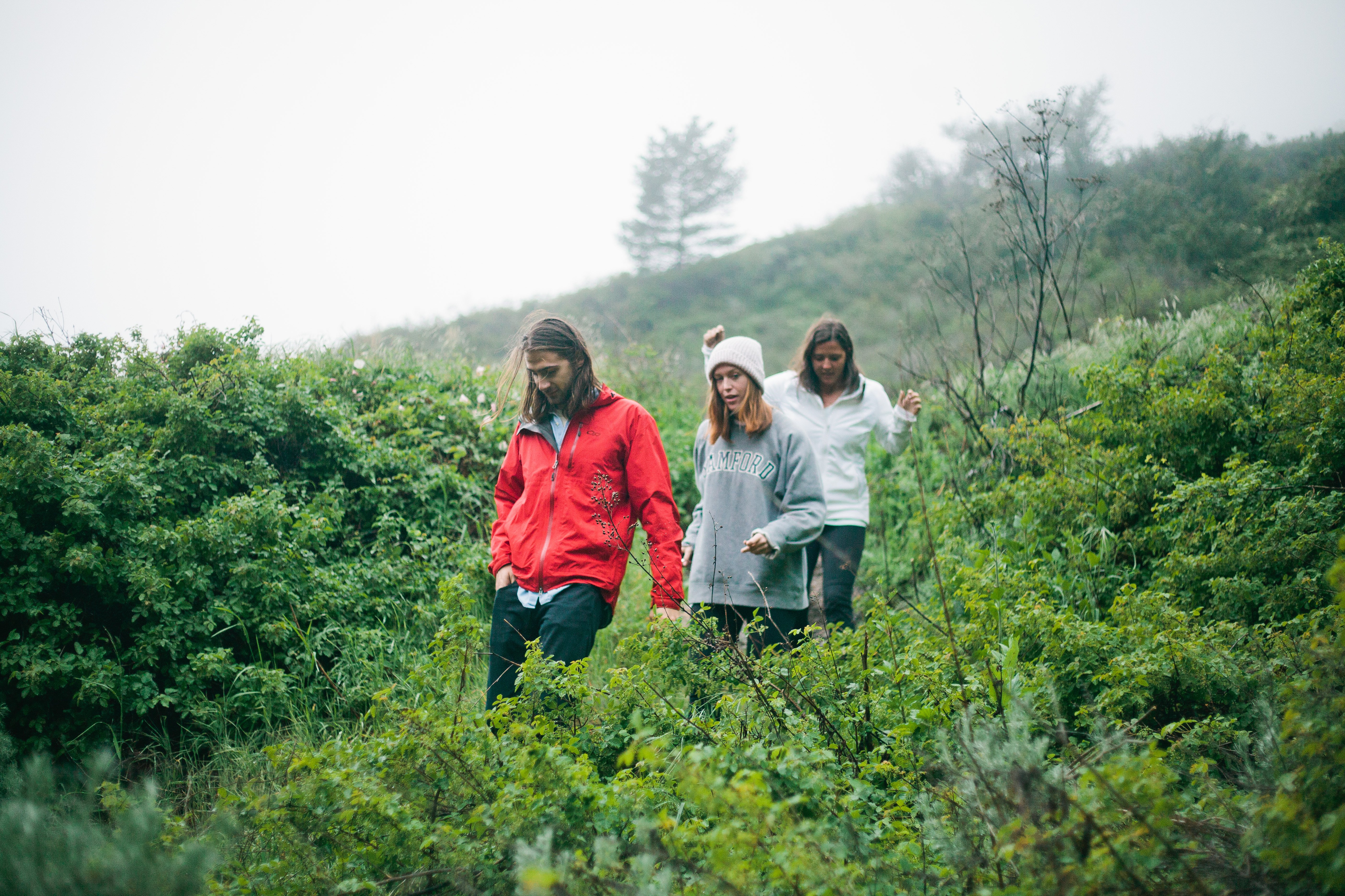 Molly Peach-Walking Through Greenery