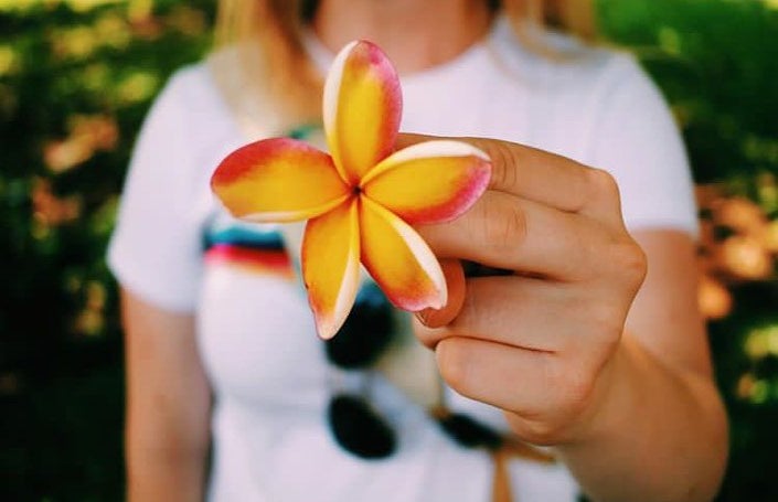 Tropical Flower Bright Nature