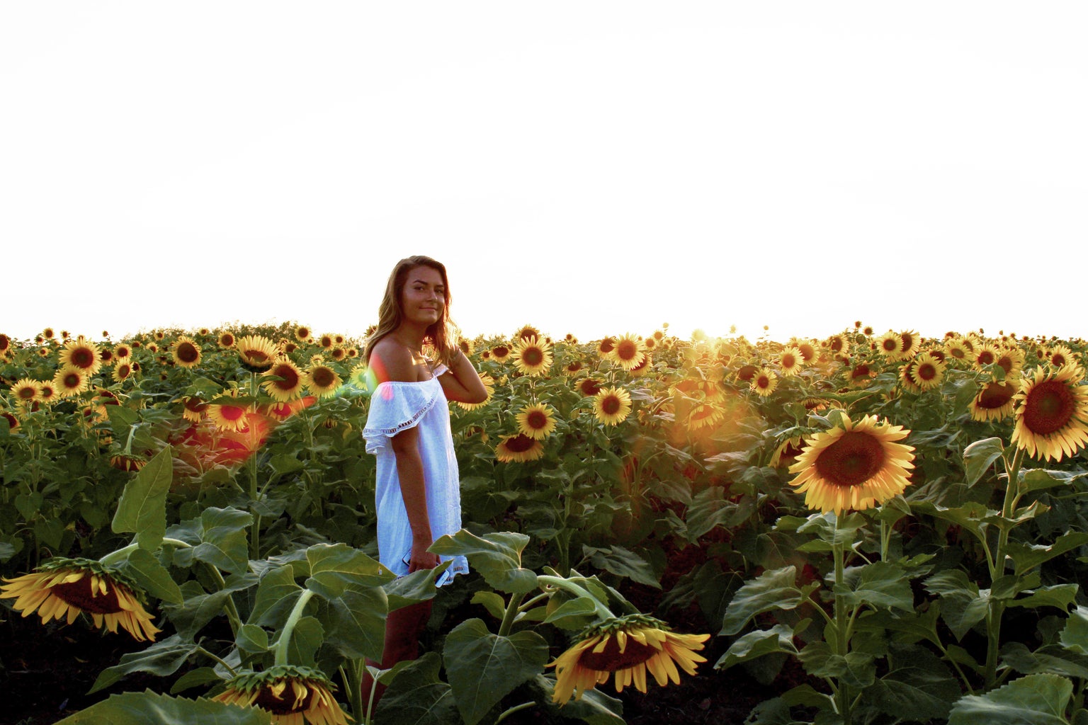 Maria Scheller-Girl White Dress Sunflower Field Summer