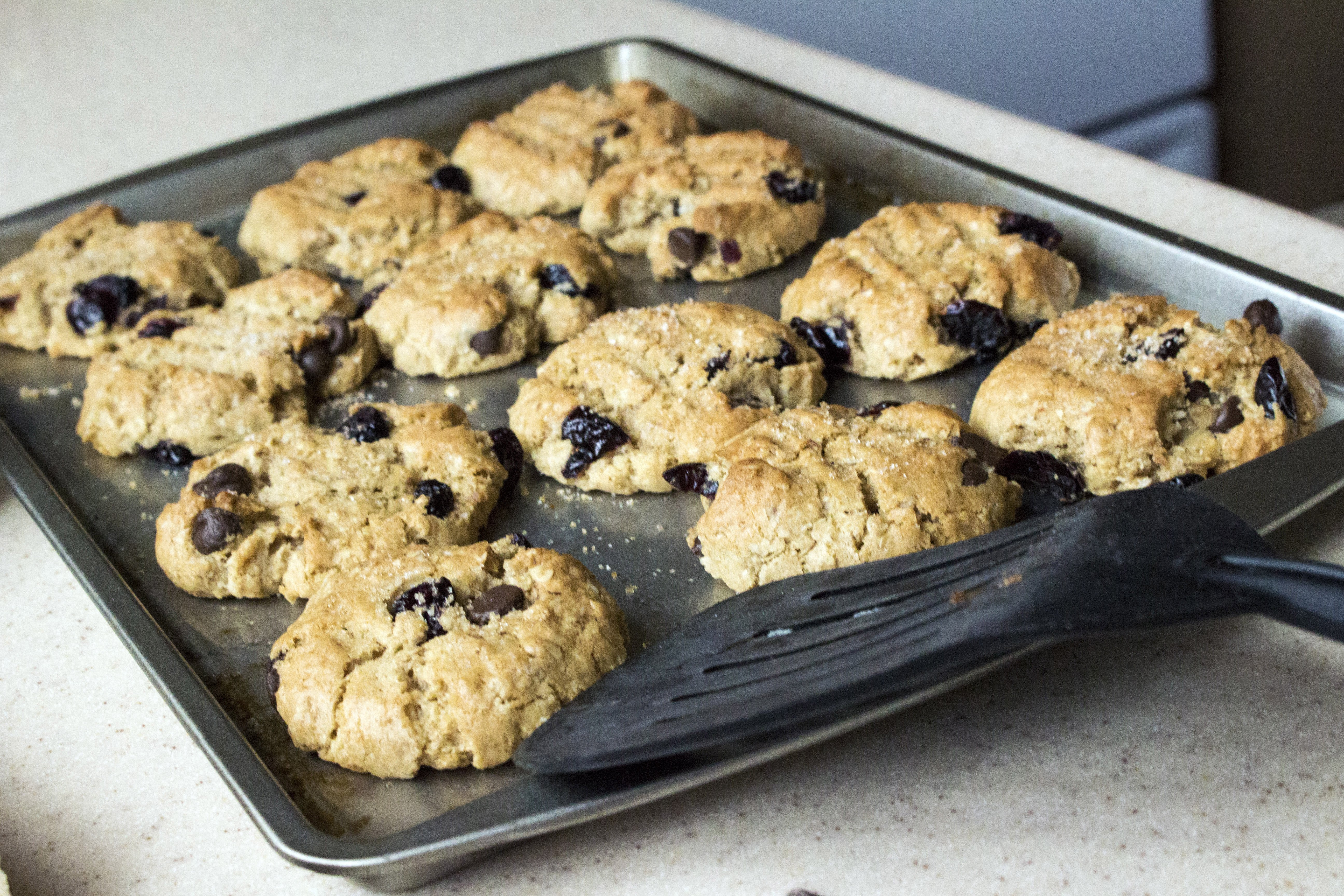 Brook Buchan Spoon CSU Blueberry Chocolate Chip Oatmeal Cookies 5?width=698&height=466&fit=crop&auto=webp&dpr=4