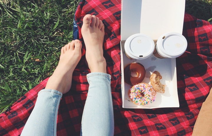 Picnic Donuts