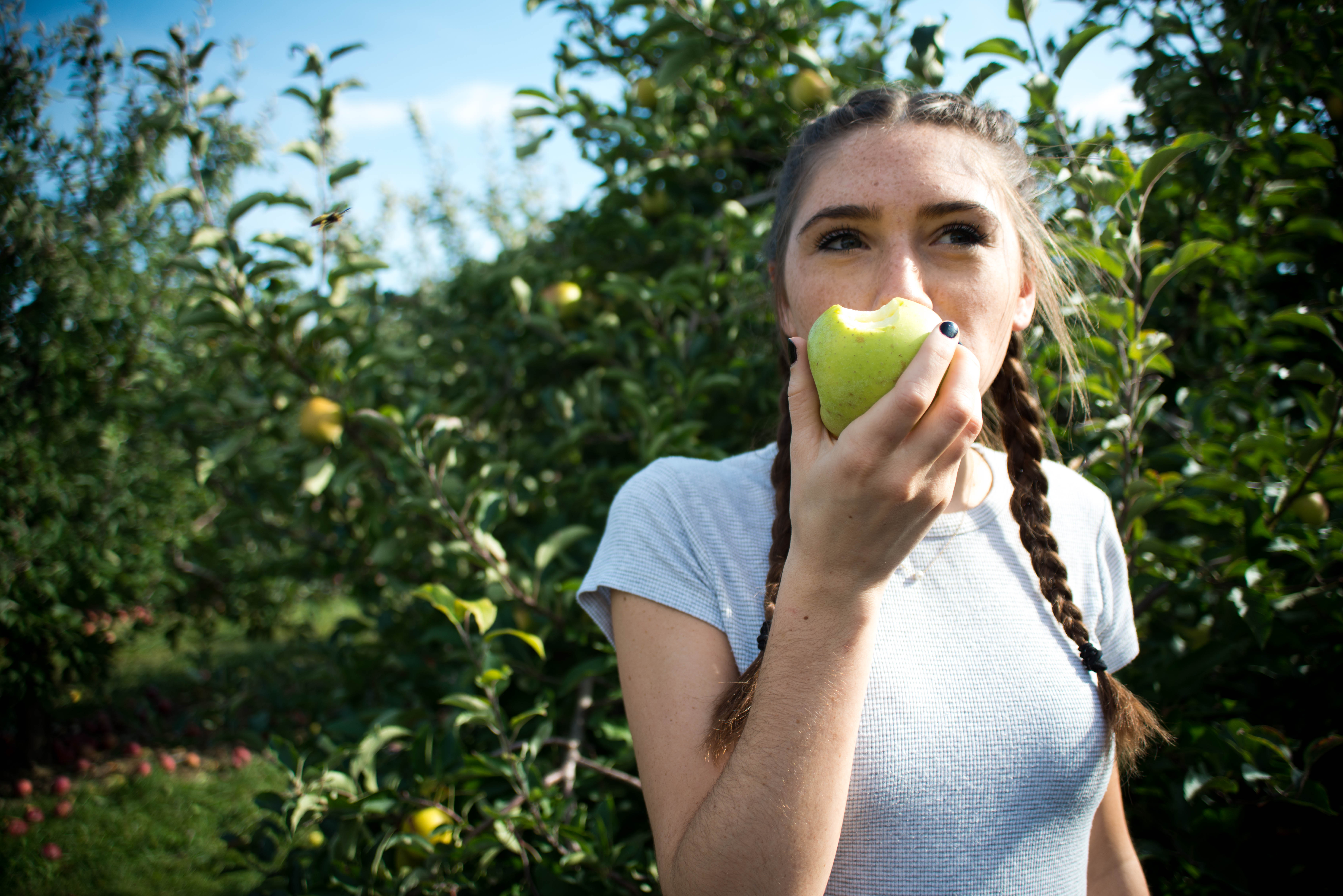 Alex Frank apple orchard girl?width=698&height=466&fit=crop&auto=webp&dpr=4