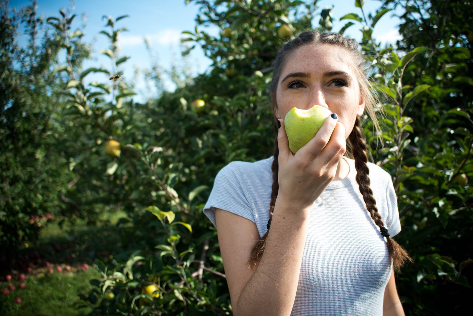 Apple Orchard Girl