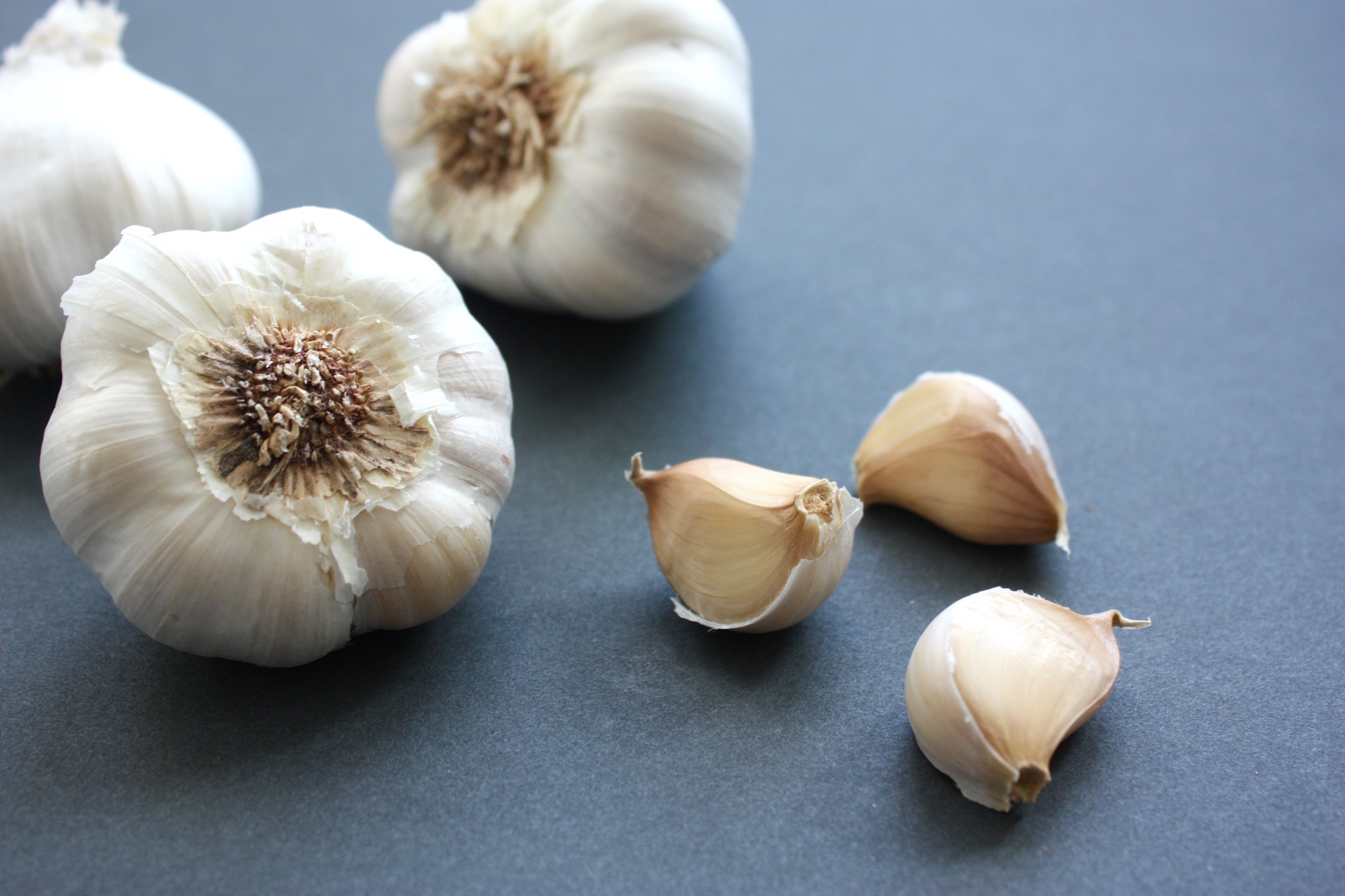 Kristine Mahan garlic 4?width=698&height=466&fit=crop&auto=webp&dpr=4