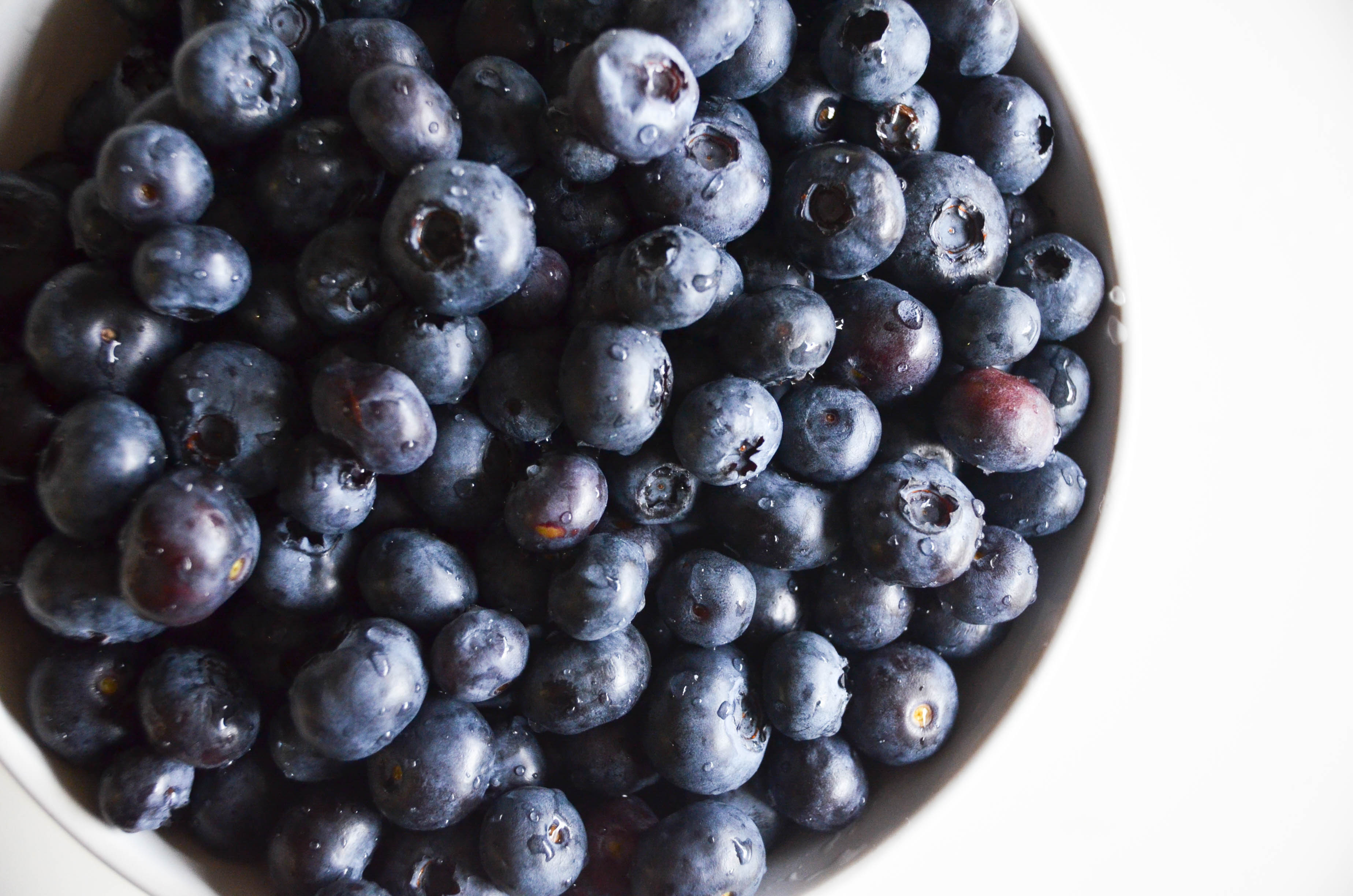 Jocelyn Hsu blueberries 2?width=734&height=489&fit=crop&auto=webp&dpr=4