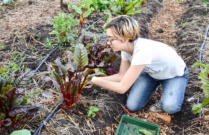 Girl Harvest Farm