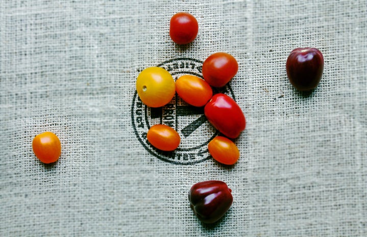 Ellen Gibbs Heirloom Tomatoes?width=719&height=464&fit=crop&auto=webp