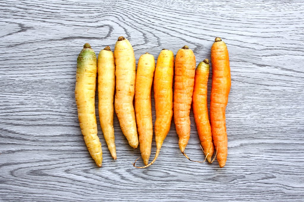 Christin Urso Carrots 4?width=698&height=466&fit=crop&auto=webp&dpr=4