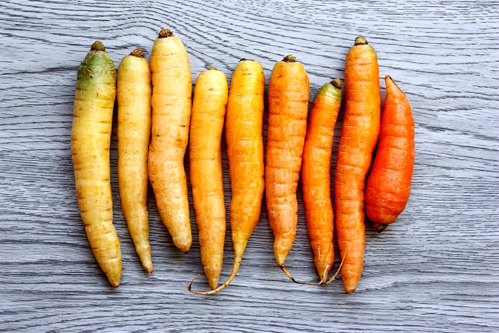 Christin Urso Carrots 3?width=698&height=466&fit=crop&auto=webp&dpr=4