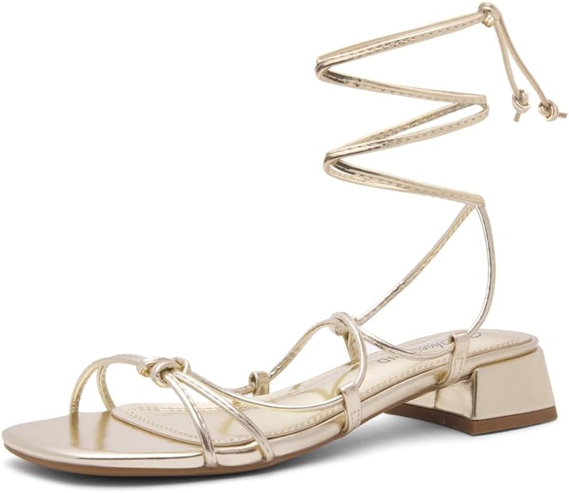 Shoe Land Womens Lace Up Block Heel Sandal?width=1024&height=1024&fit=cover&auto=webp&dpr=4