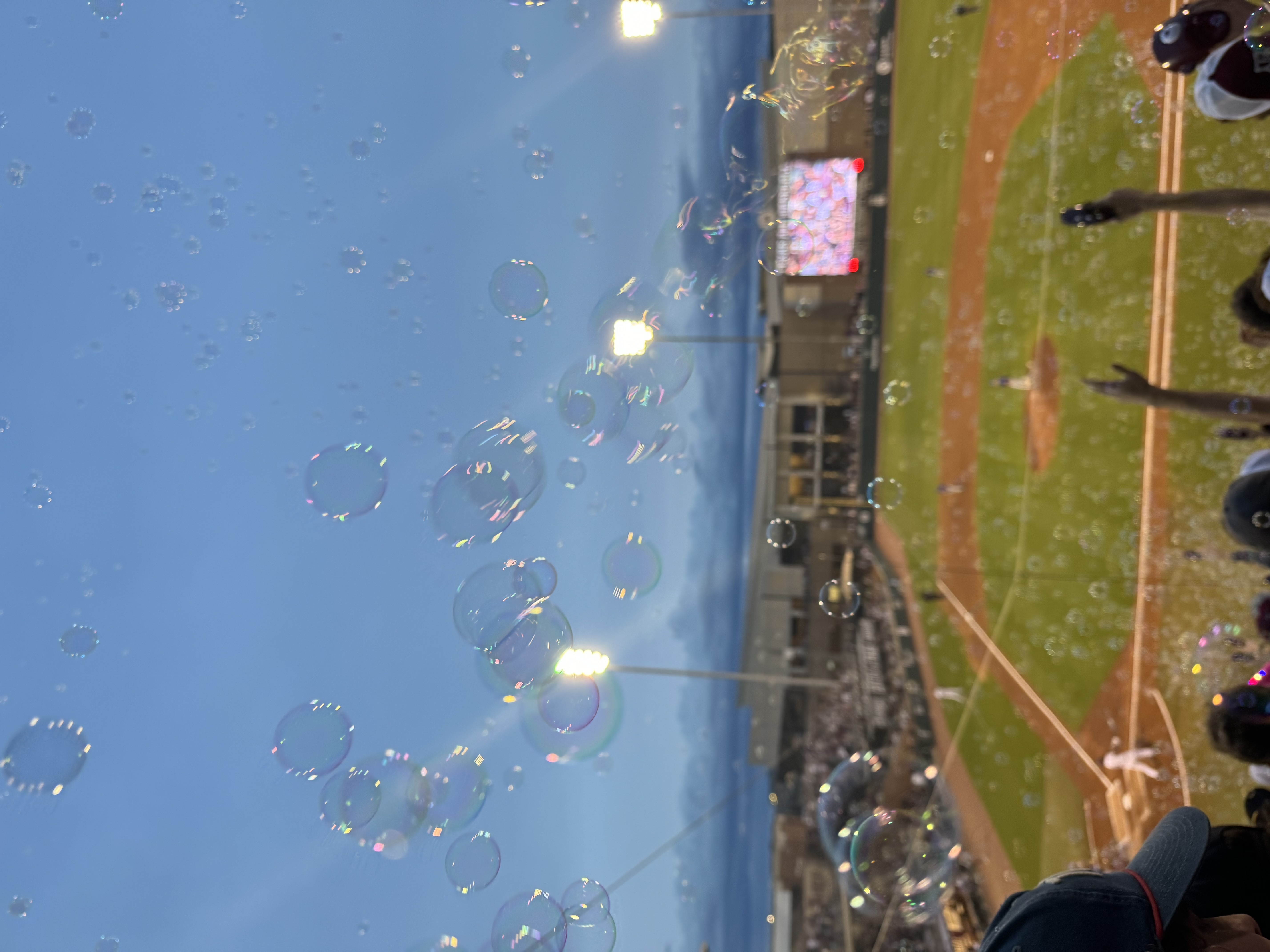 img 0177jpegjpg by Hannah Morris?width=698&height=466&fit=crop&auto=webp&dpr=4