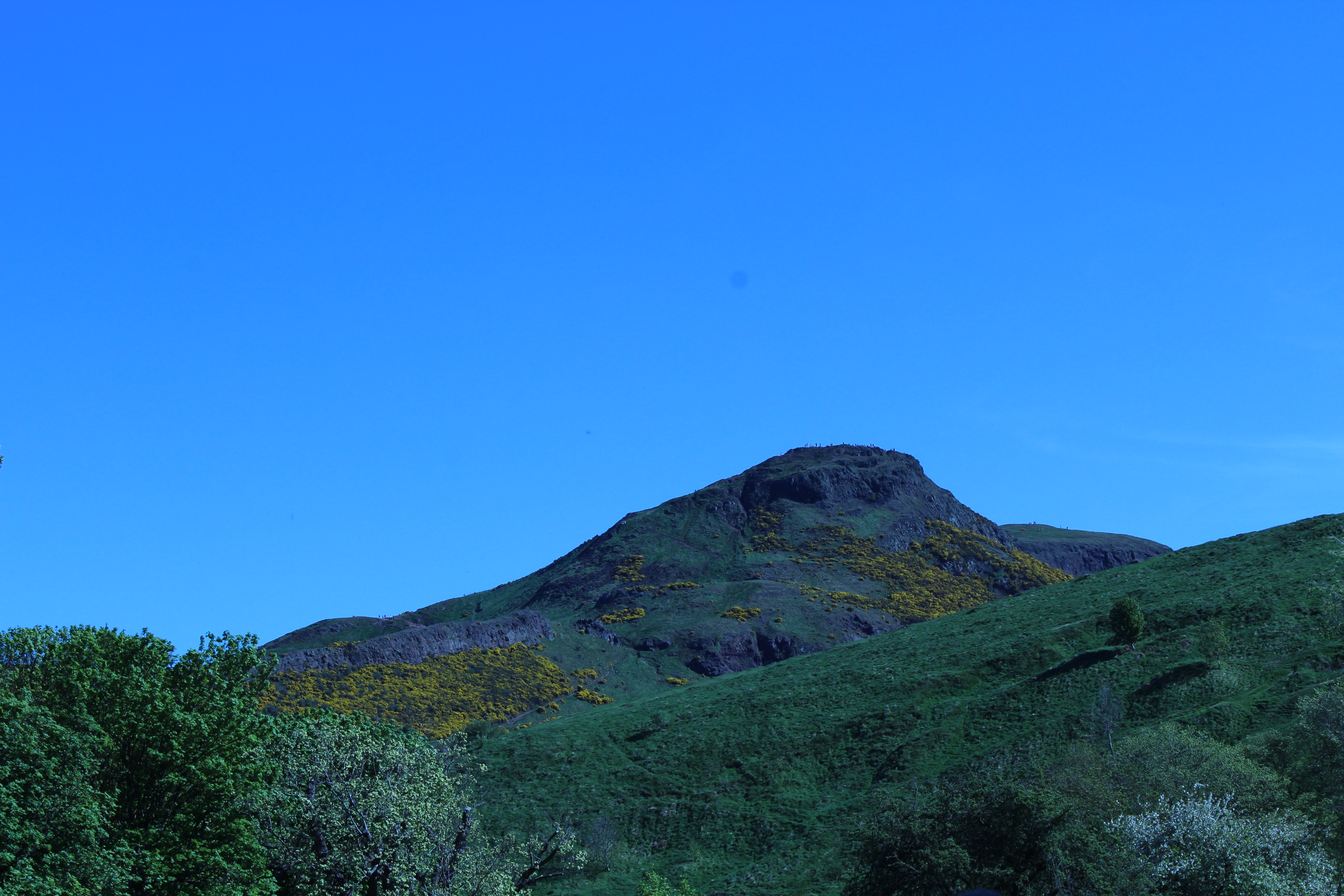 img 1639 1jpg by Laura Cavalenes?width=698&height=466&fit=crop&auto=webp&dpr=4