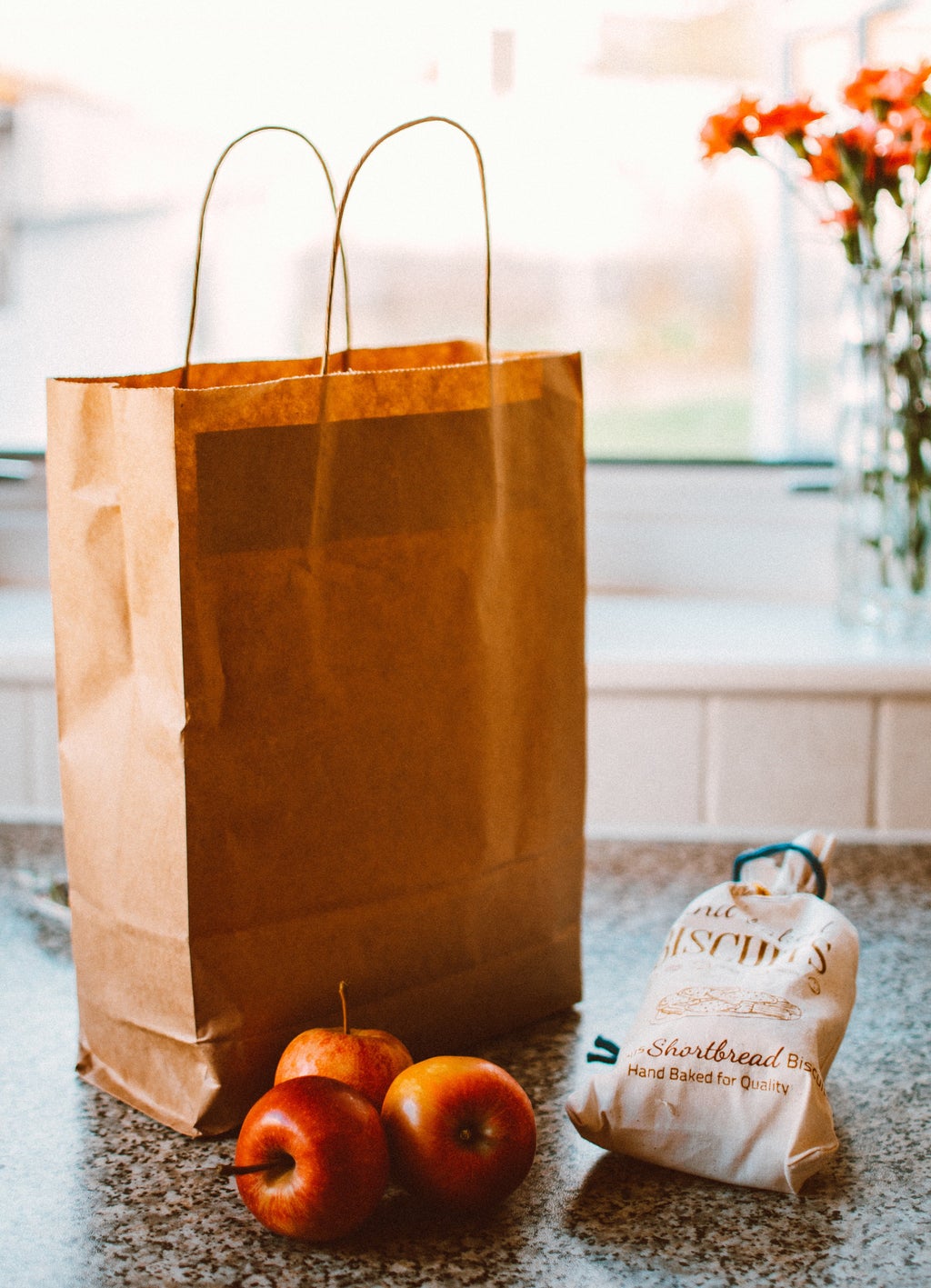 grocery bag with apple