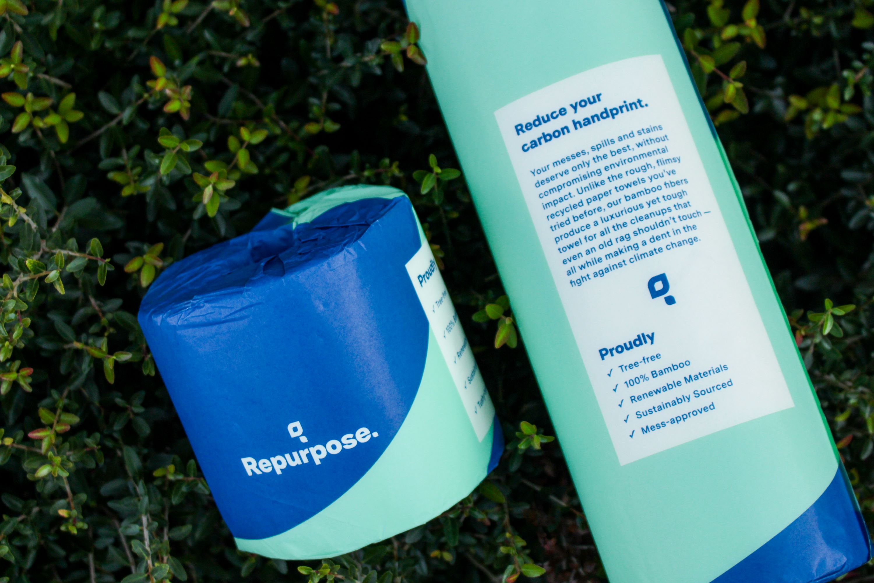 bamboo 2jpg by Desiree Anello