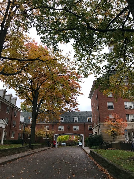 ohio university east green fallpng by Hannah Moskowitz?width=698&height=466&fit=crop&auto=webp&dpr=4
