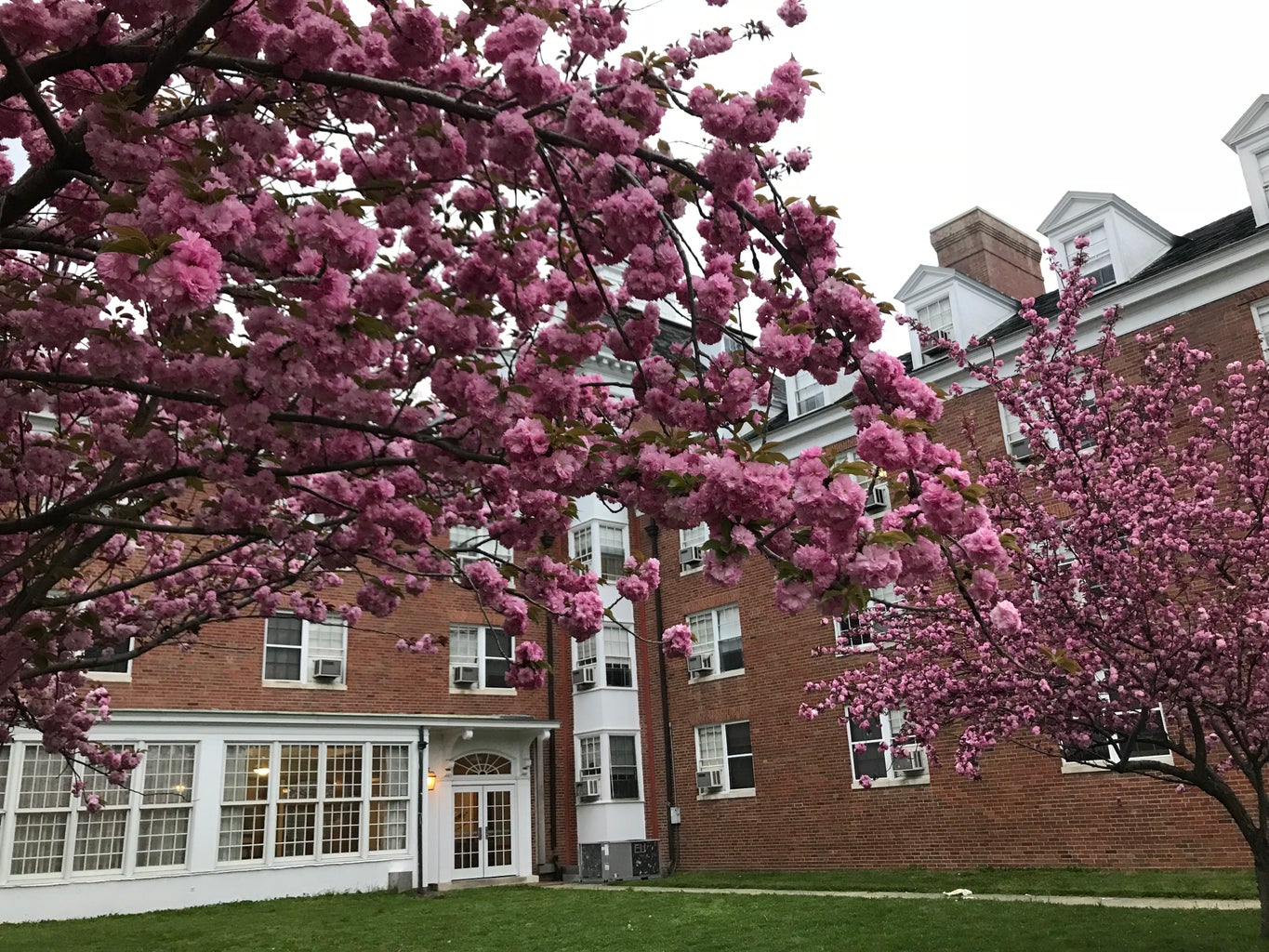 Ohio University Washington Hall Spring