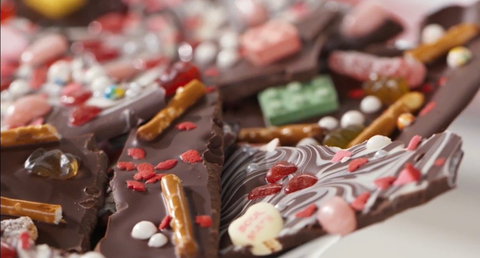 bark?width=1024&height=1024&fit=cover&auto=webp&dpr=4