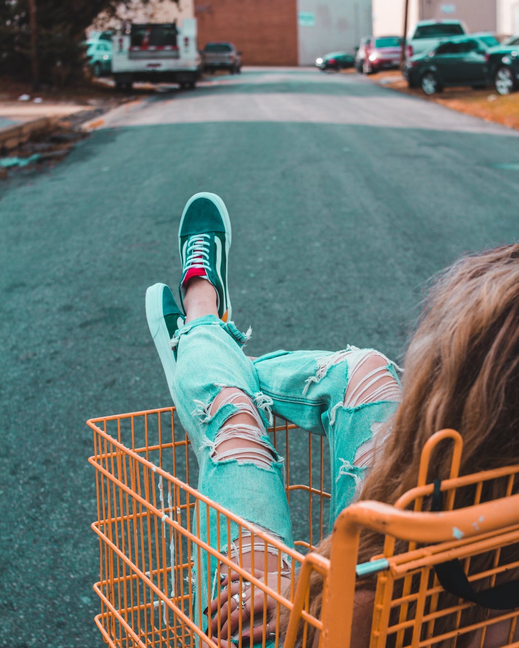 Girl sitting in a shopping cart.