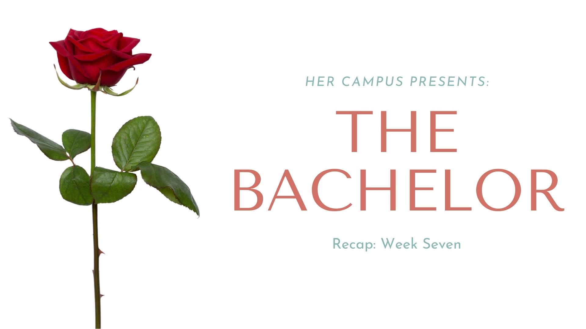the bachelor 2jpg by Photo by Canva?width=698&height=466&fit=crop&auto=webp&dpr=4