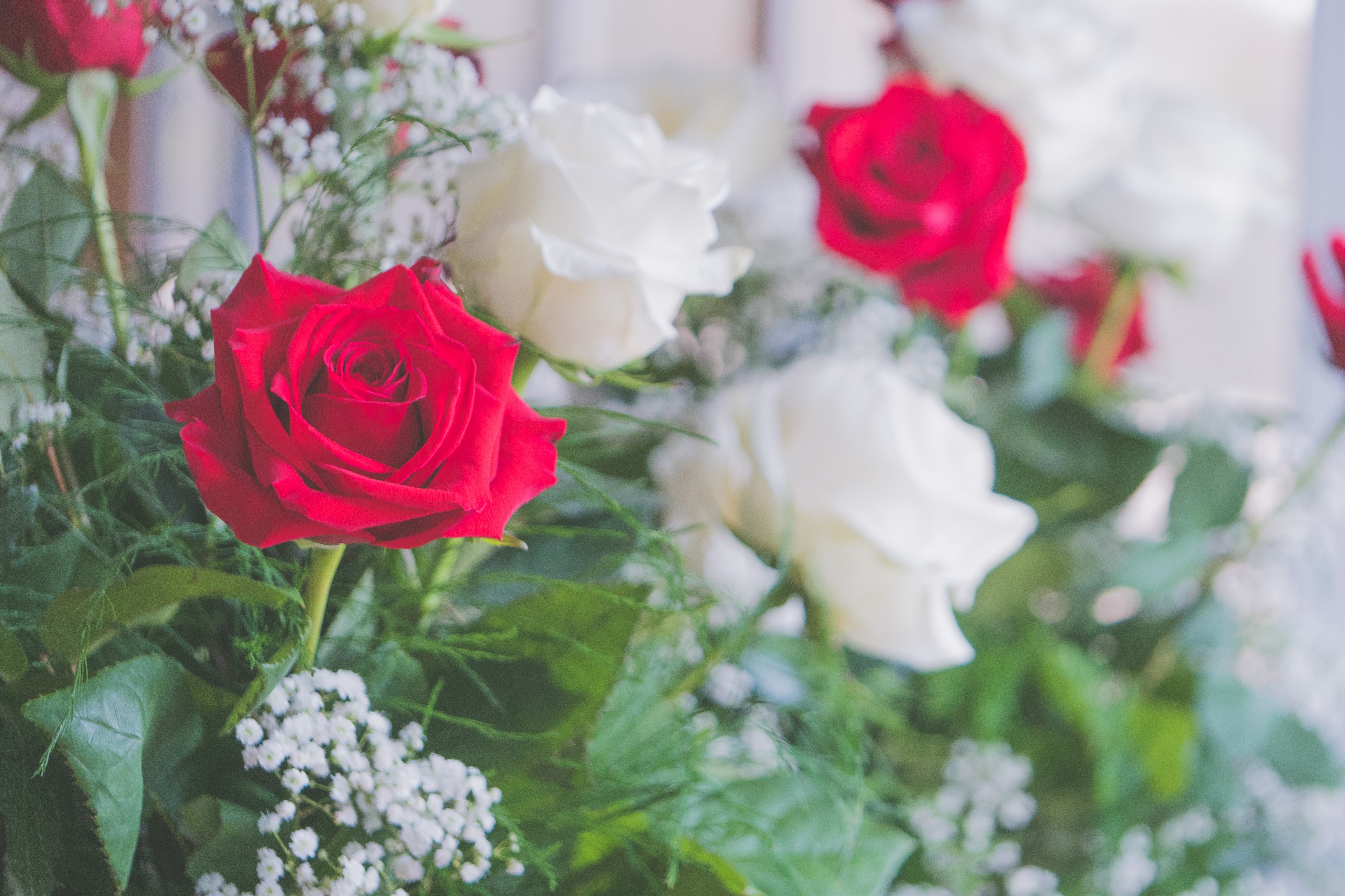 jessicalewisfldvqowwsounsplashjpg by Jessica Lewis?width=698&height=466&fit=crop&auto=webp&dpr=4