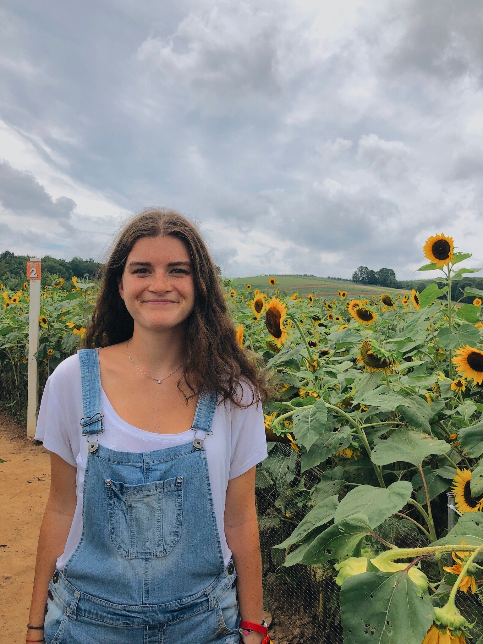 919cb13ec30e45a28259491d301b96c2jpg by Maddie Squire?width=698&height=466&fit=crop&auto=webp&dpr=4