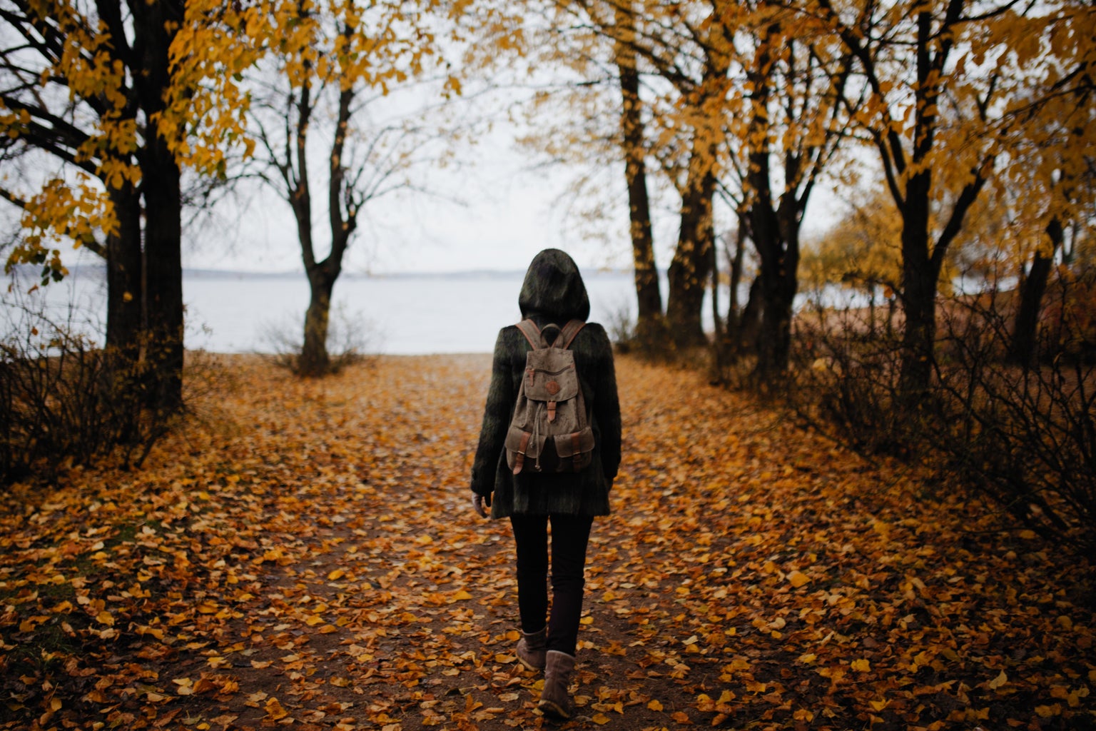 woman walking on a pathway with fall leaves