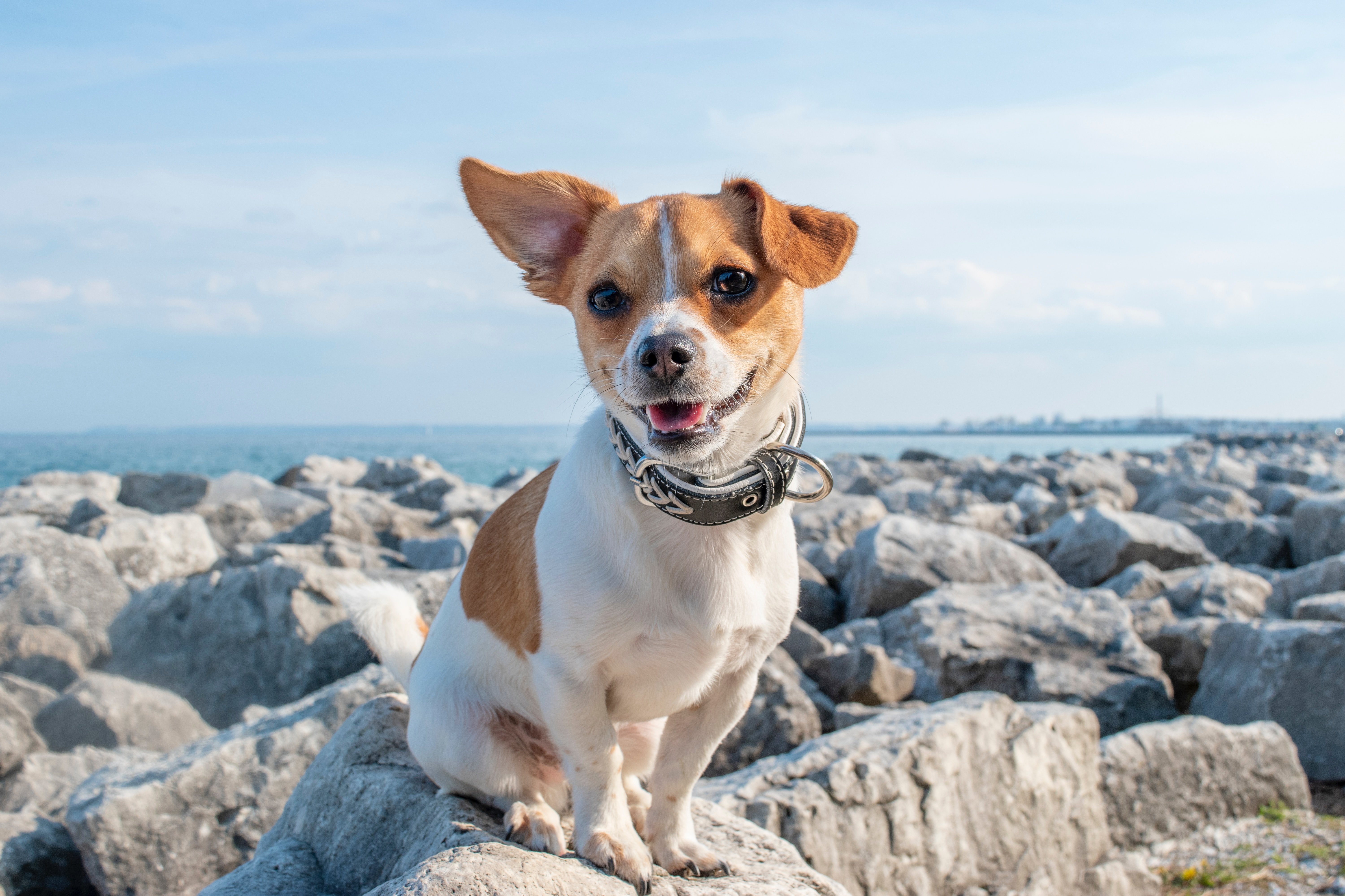 martin moreno 54yOfgVKdqs unsplash?width=698&height=466&fit=crop&auto=webp&dpr=4