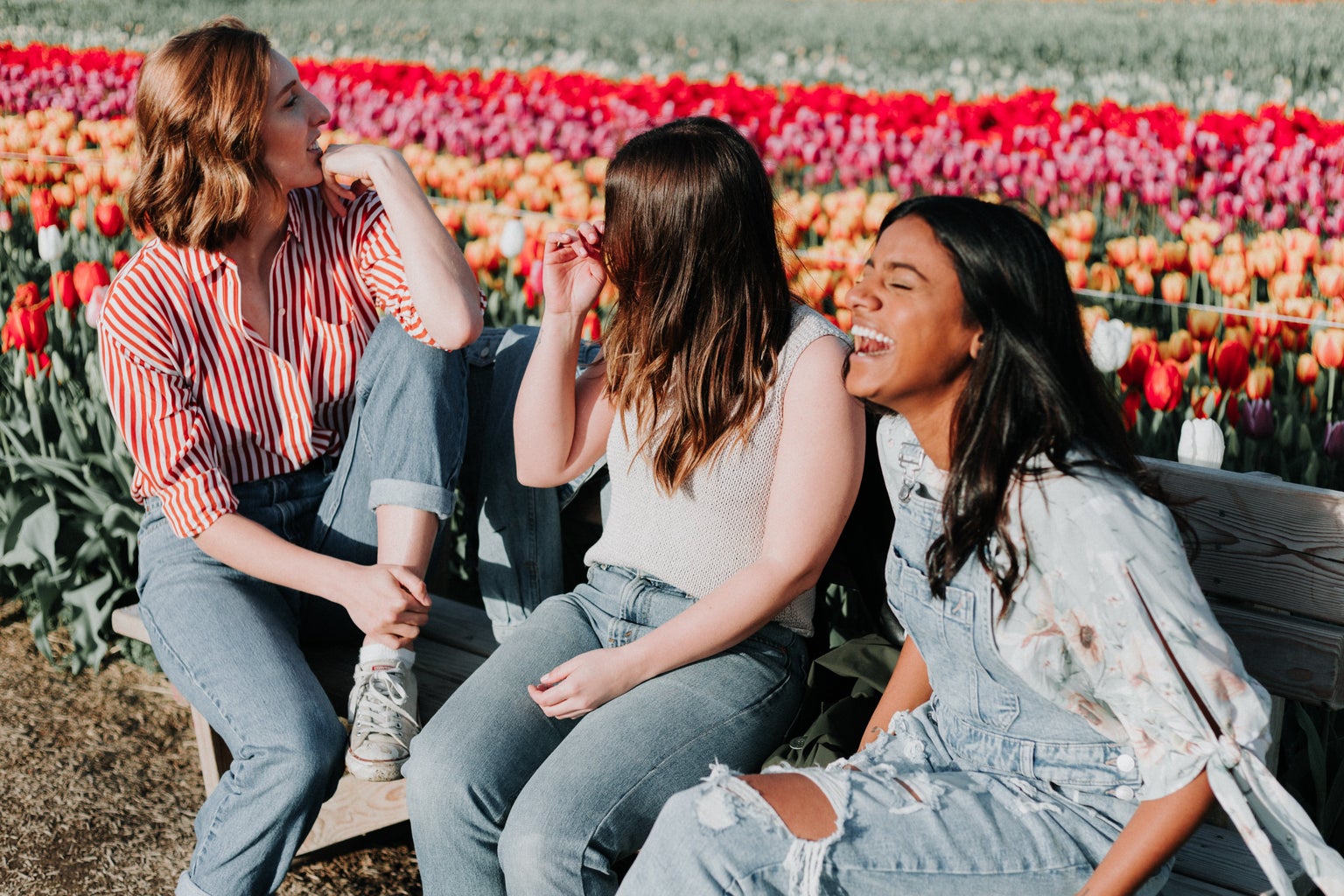 Three women talking and laughing on the wooden bench next to the tulip flower field