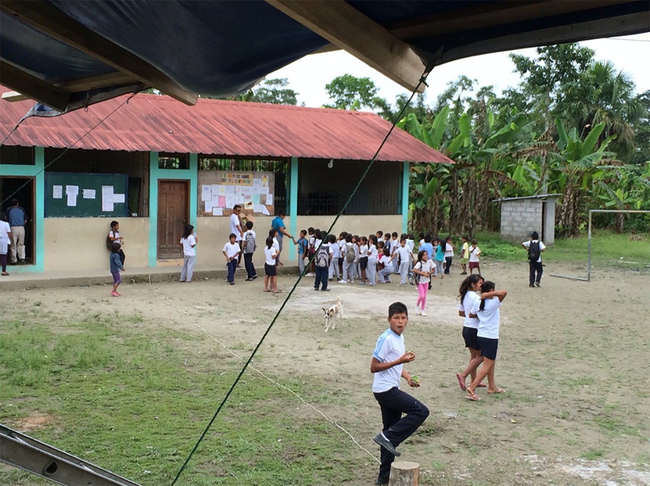 liv beckerman profilepng by Olivia Beckerman?width=698&height=466&fit=crop&auto=webp&dpr=4