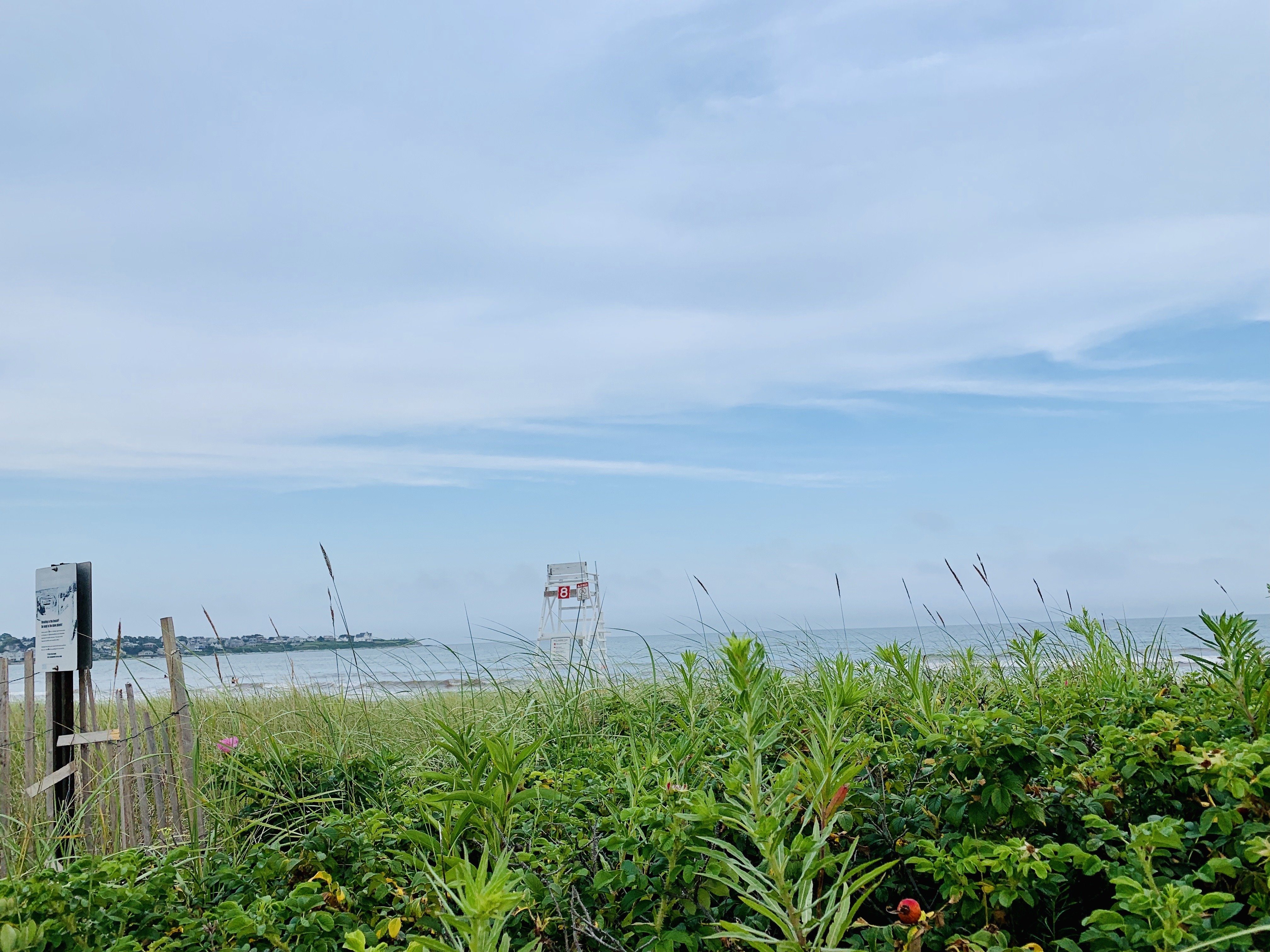 img2719jpg by Ashley Ha?width=698&height=466&fit=crop&auto=webp&dpr=4