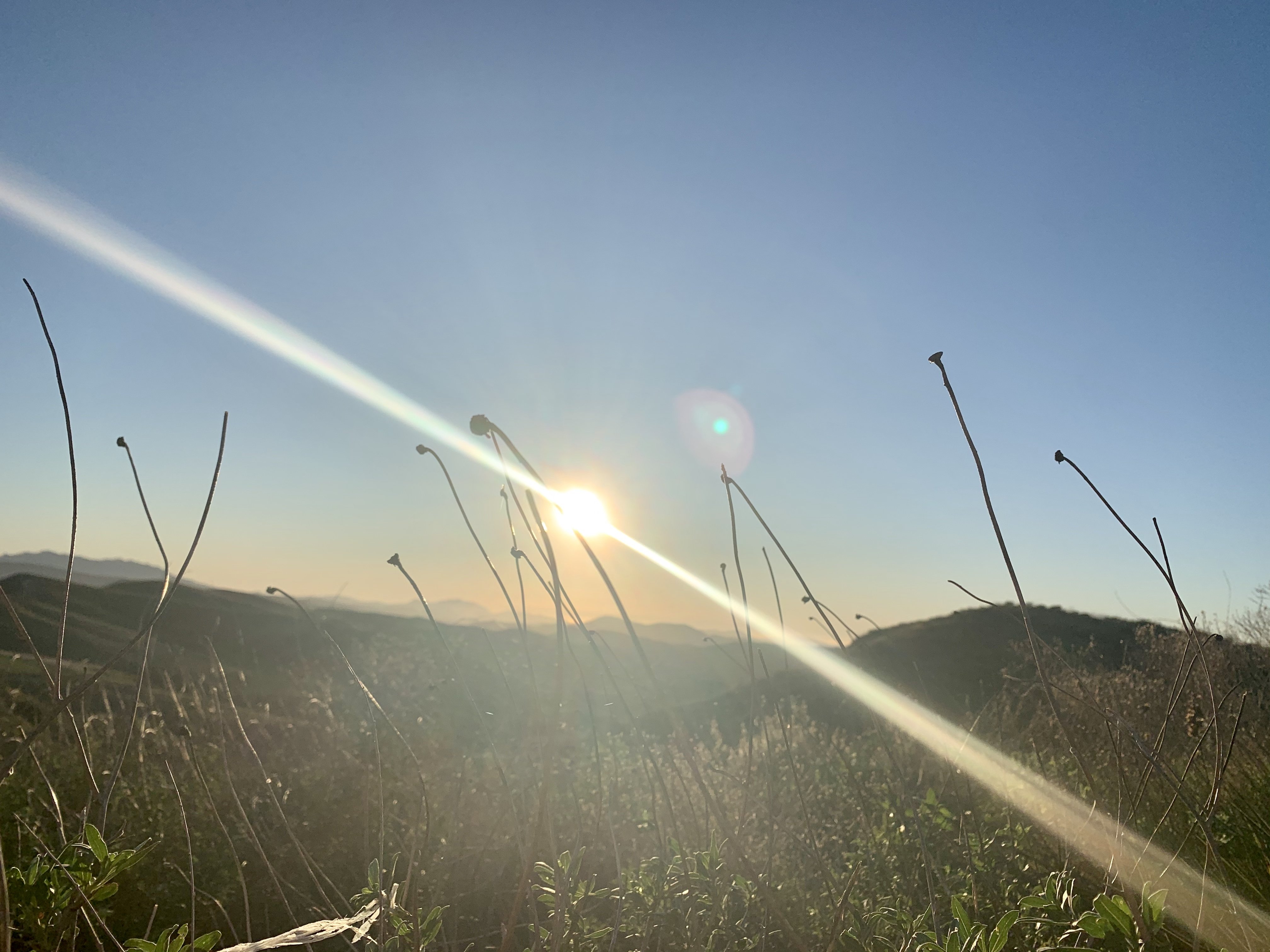 sunlight on a hill