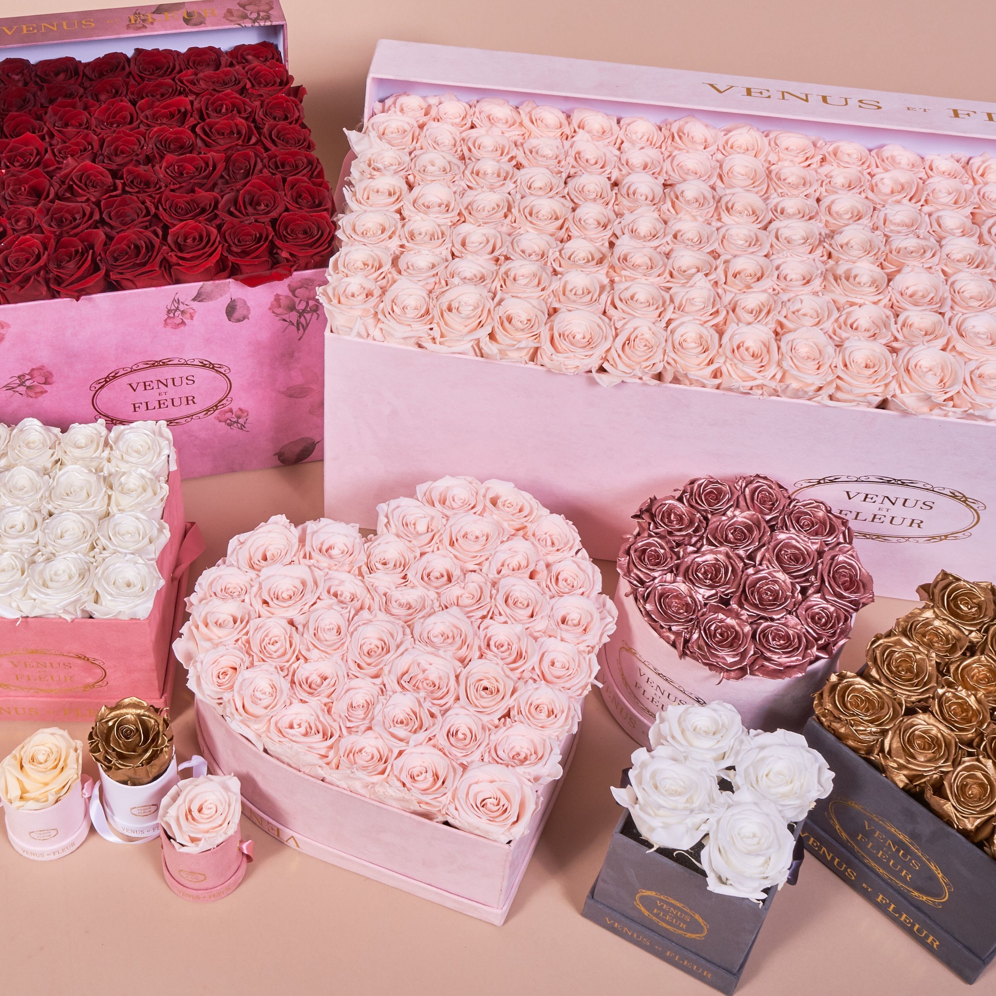 Cluster?width=1024&height=1024&fit=cover&auto=webp&dpr=4