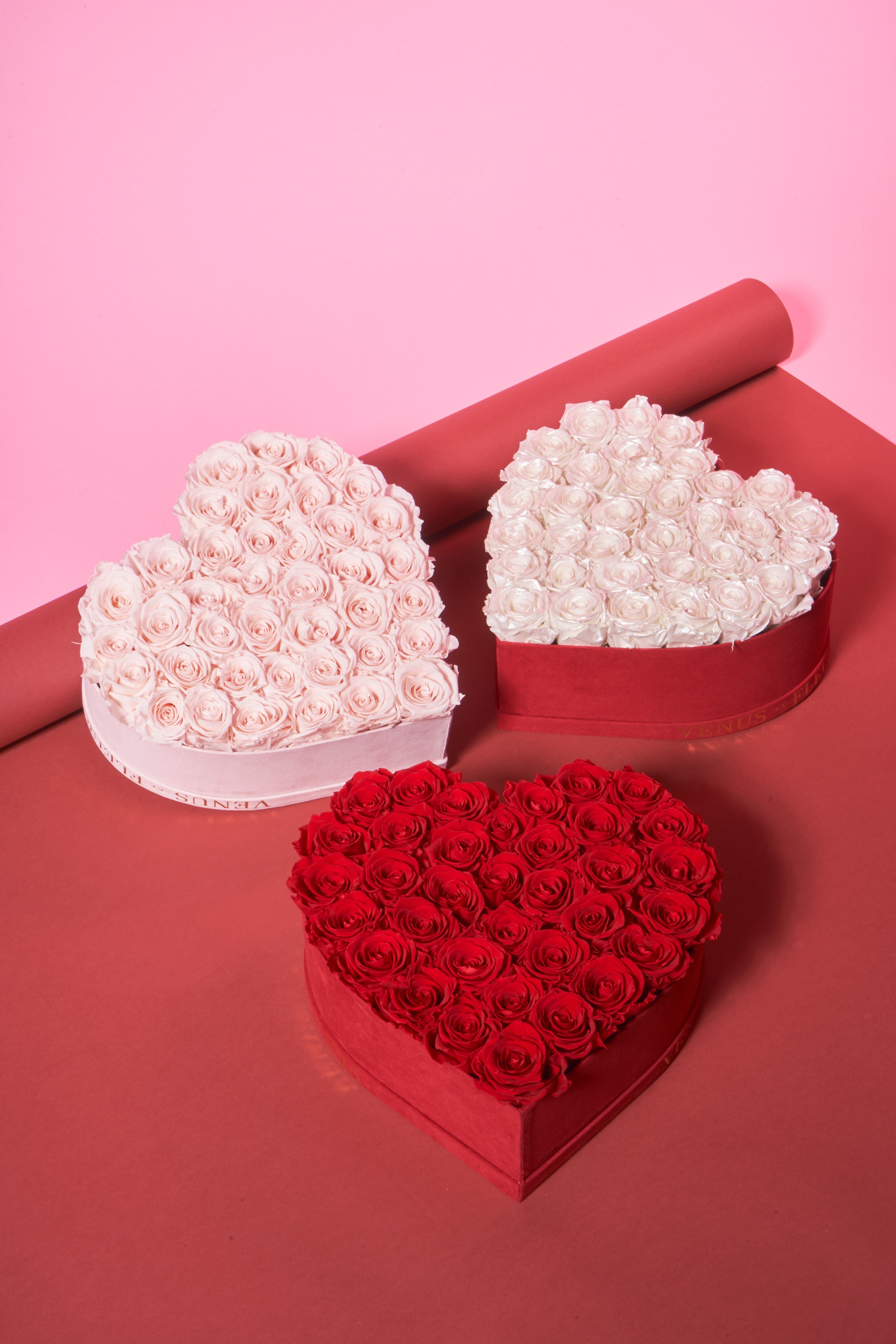 Heart3?width=698&height=466&fit=crop&auto=webp&dpr=4