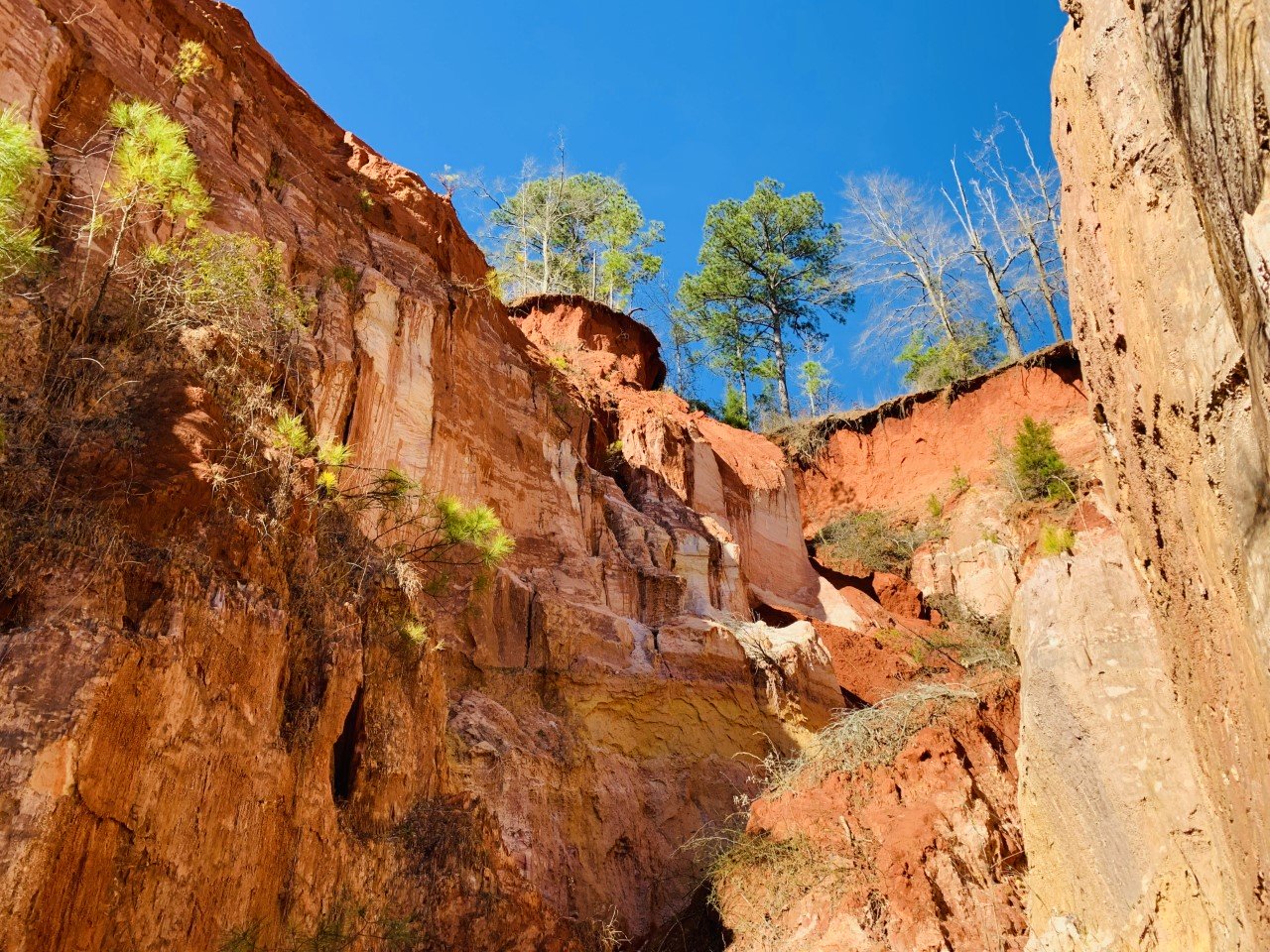 thumbnail img 0688jpg by Rebecca McCandless?width=698&height=466&fit=crop&auto=webp&dpr=4