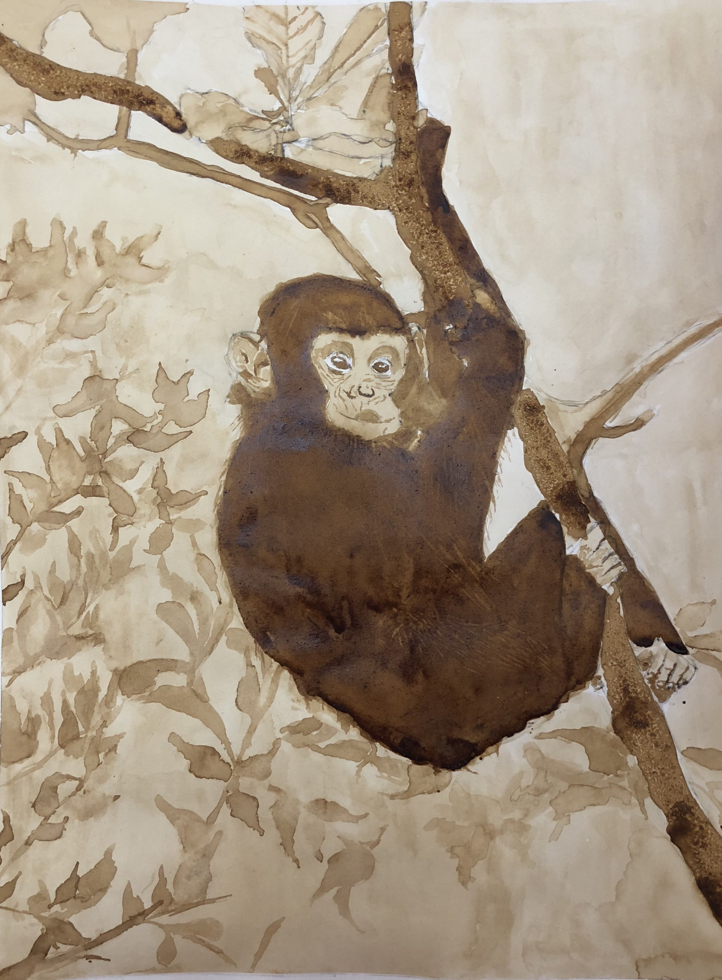 coffee paintings painted by me