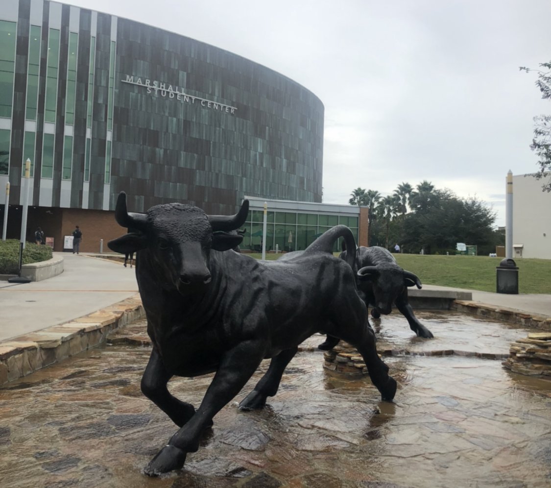 image of the University of South Florida