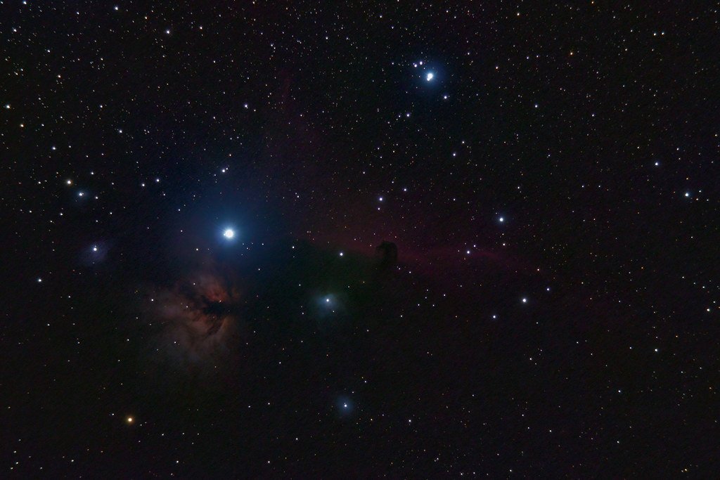 49469940177 dca50b6e15 bjpg by photo credit markkilner?width=698&height=466&fit=crop&auto=webp&dpr=4