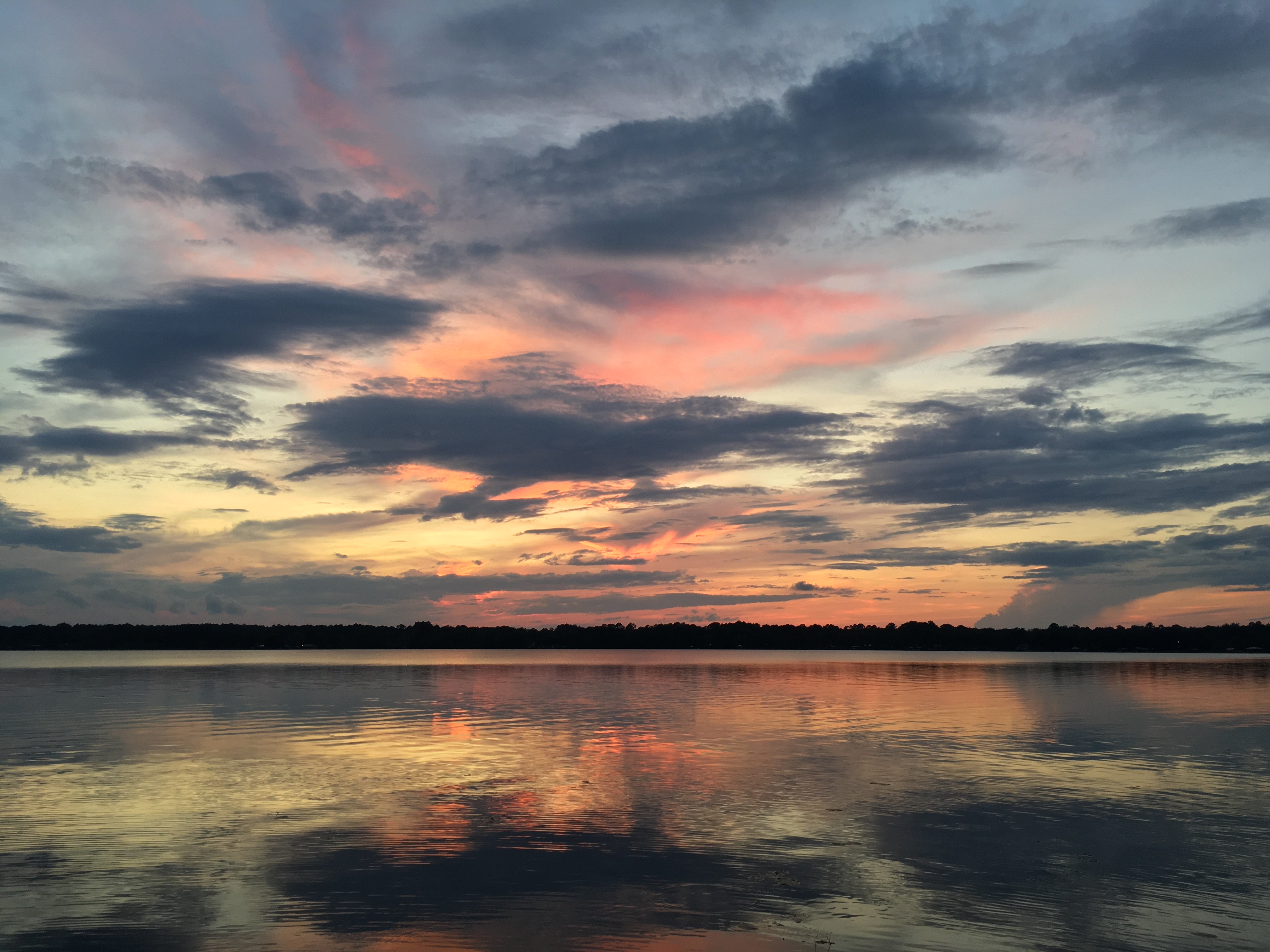 img 2963jpg by Sarah Gray?width=698&height=466&fit=crop&auto=webp&dpr=4